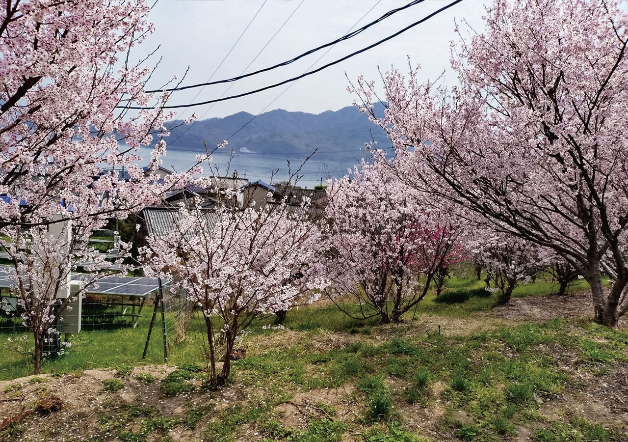 [食事なし]海の前の一軒家 ロフト付