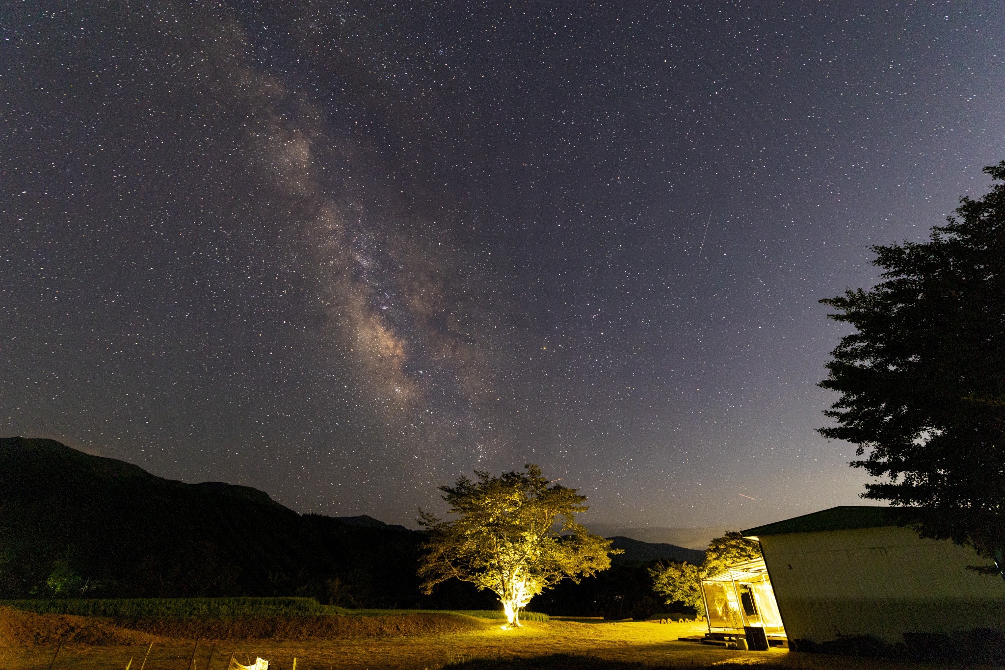 ながたんち のnull