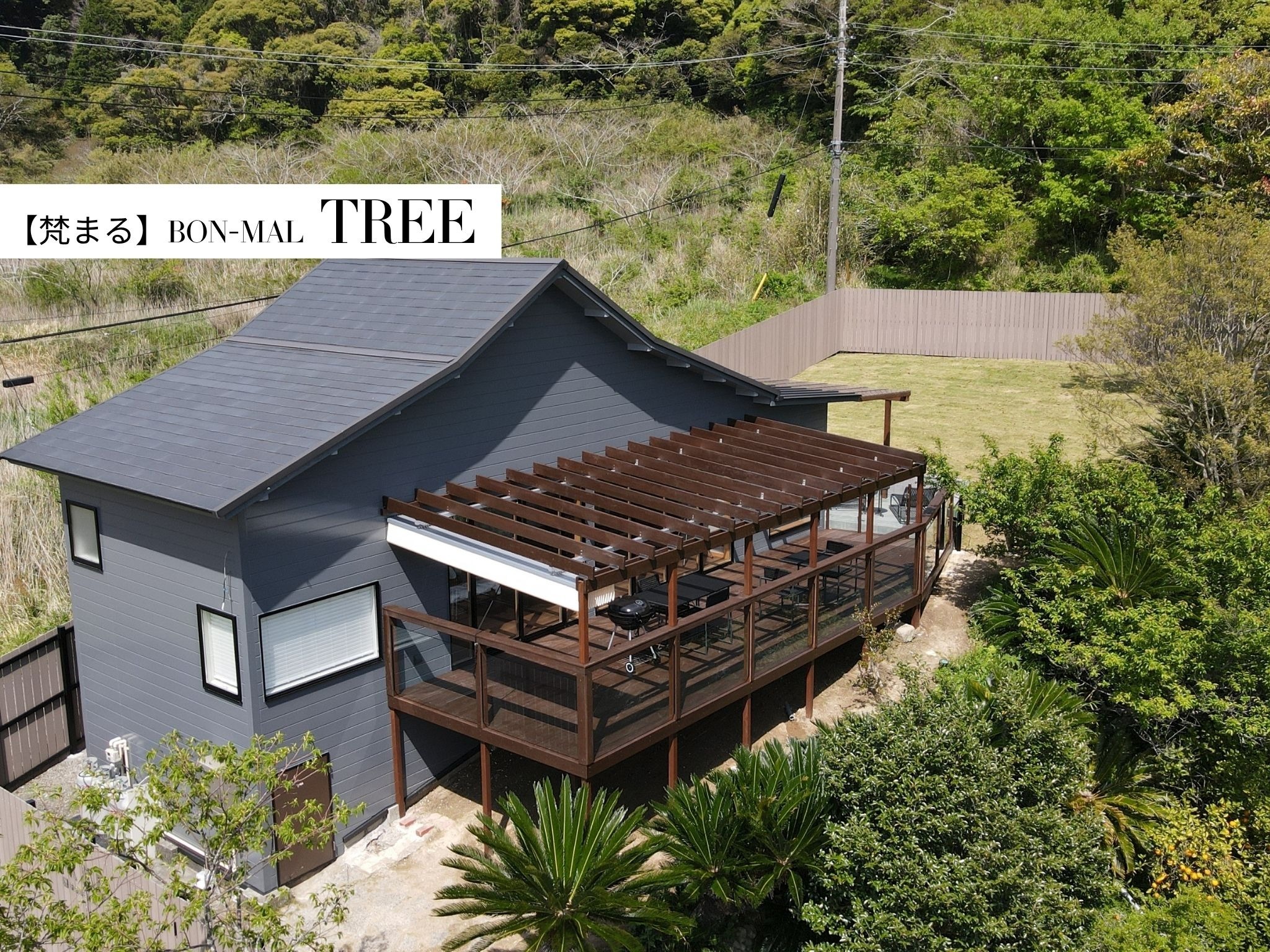 TREE【外装】