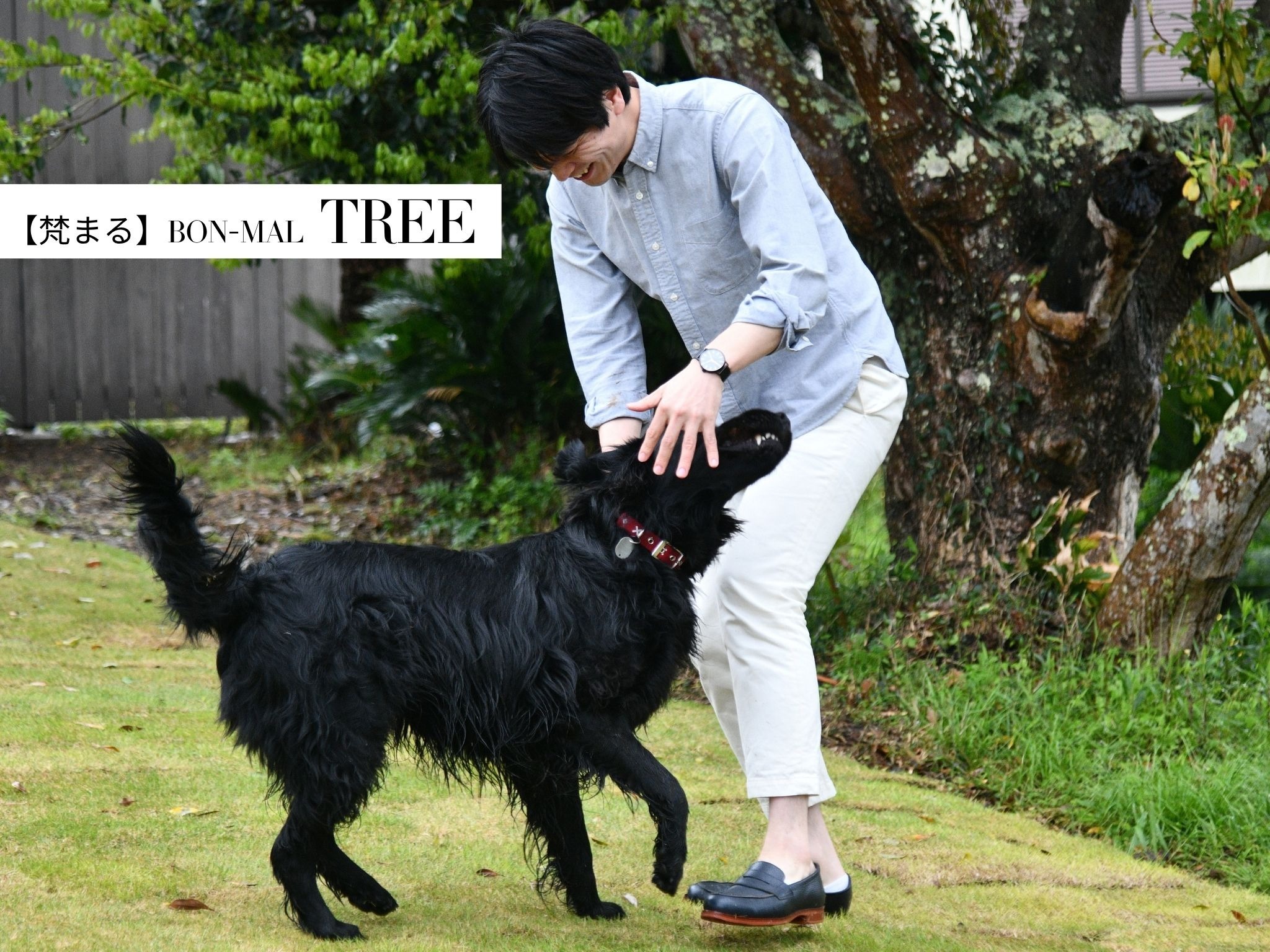 TREE【ドッグラン】少ない荷物で旅をしていただけるように、ゲージ・クッション・トイレシートなど、愛犬のためのグッズも各種ご用意させていただきました。