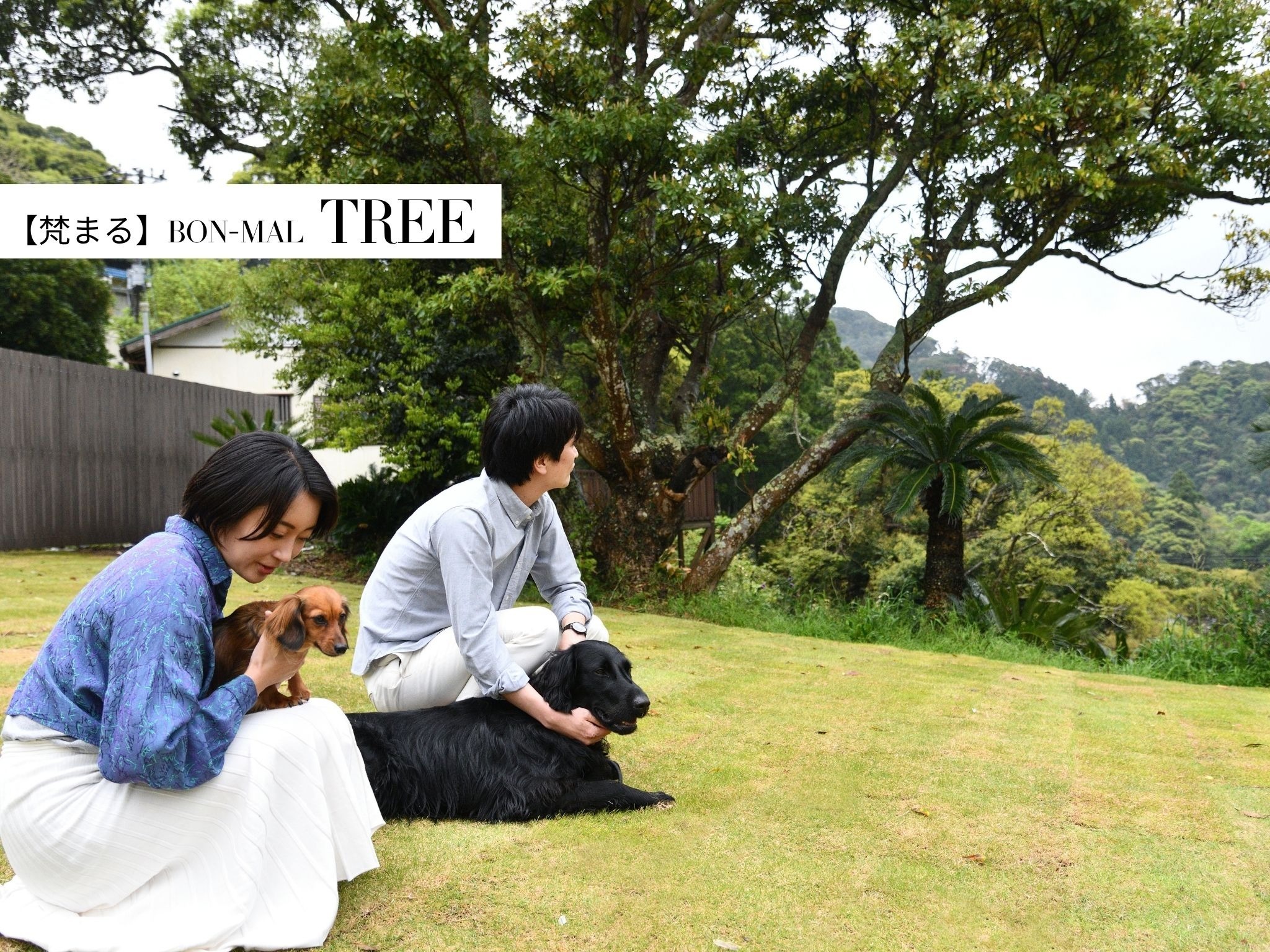 TREE【ドッグラン】完全貸切のドッグランで愛犬ととっておきの時間を過ごせます。