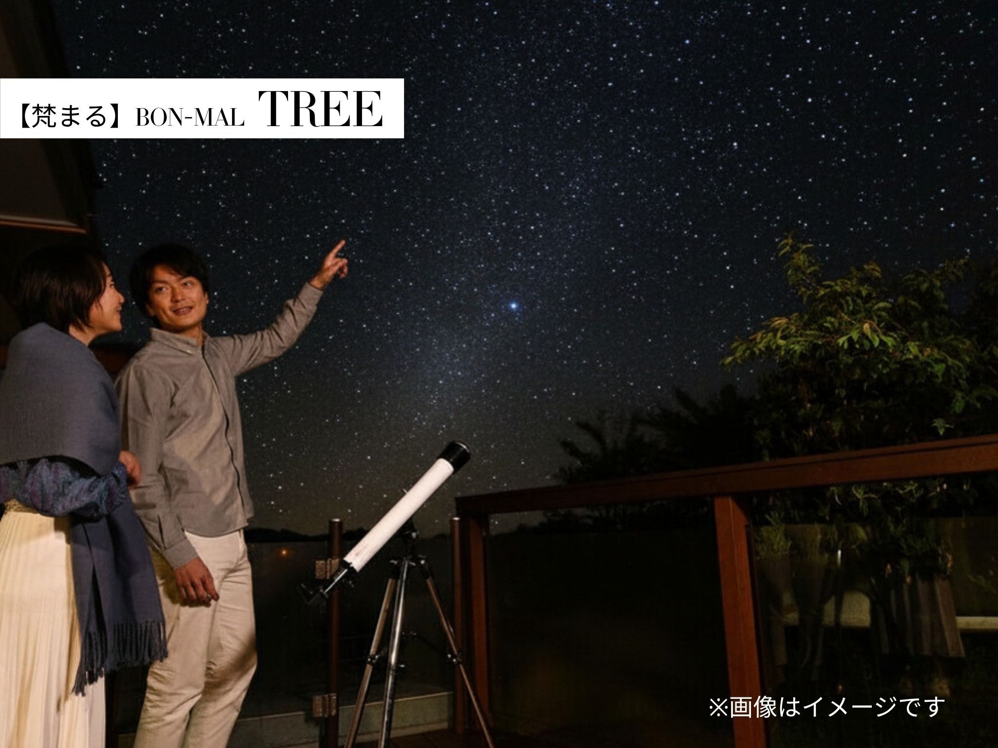TREE【天体観測】夜にはウッドデッキから満点の星をご堪能いただけます。望遠鏡もご用意ございますので、鴨川の星空をぜひお楽しみください。