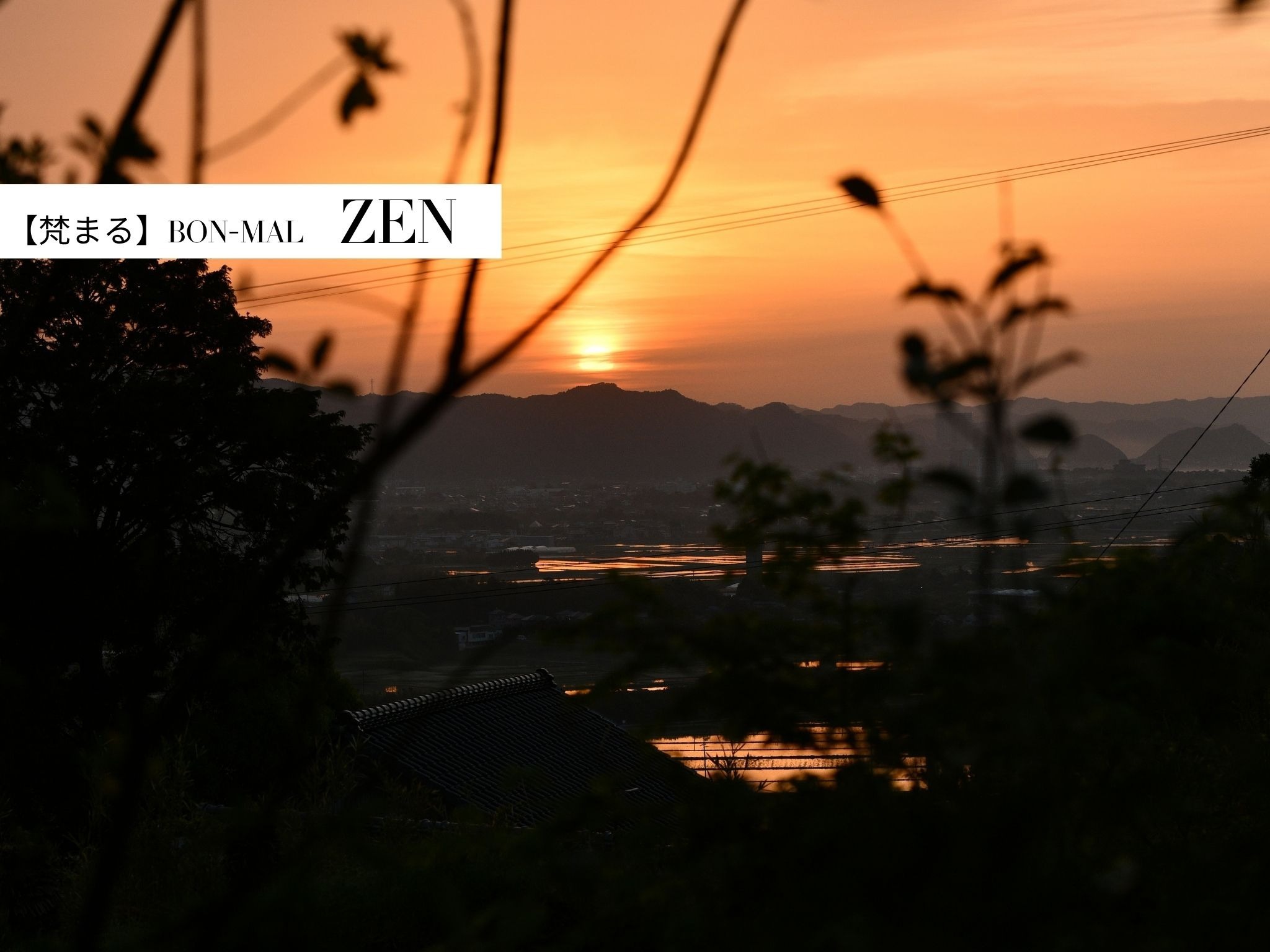 ZEN【景観】
