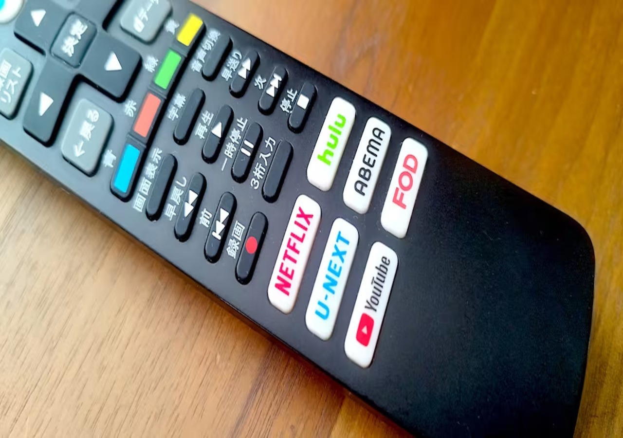 リビングのテレビでは各種動画サイトをお楽しみいただけます。