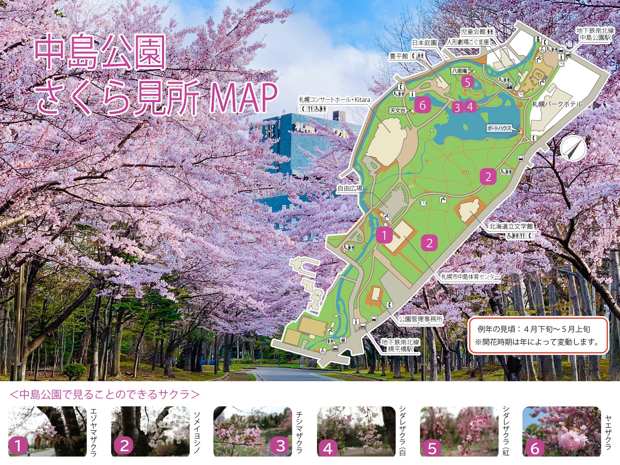 最大7名・札幌中心部から地下鉄5分/最寄駅から徒歩1分/中島公園まで5分とアクセス良好!