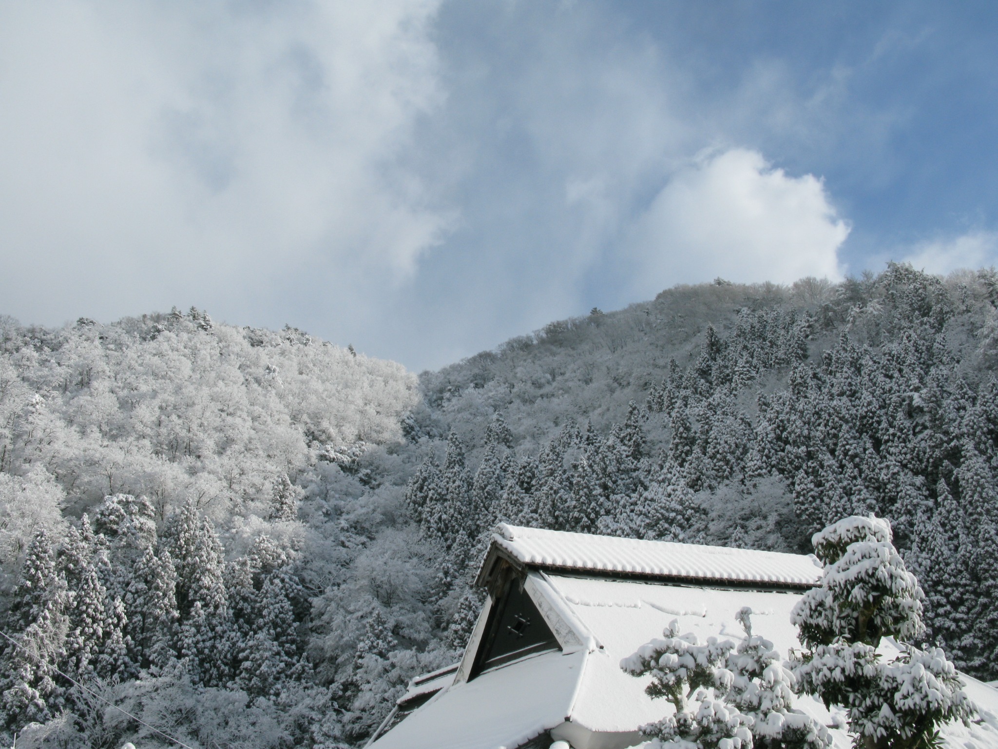 京都の秘境、綾部の上林地区。里山にあり、自然を満喫できるお部屋です。