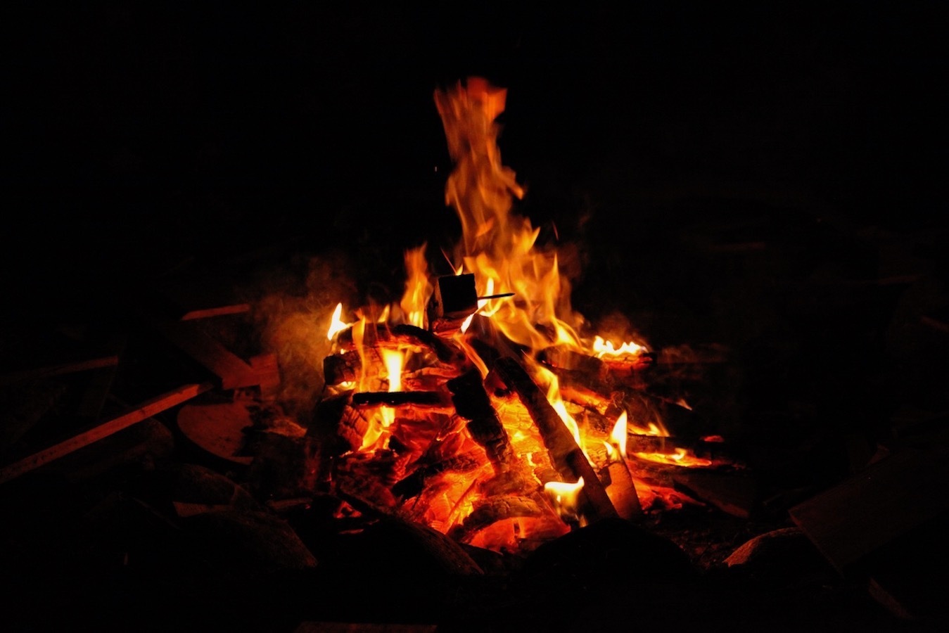 一棟貸切コテージ 尾之間スナッパーロック グランピング プライベートの森 のnull