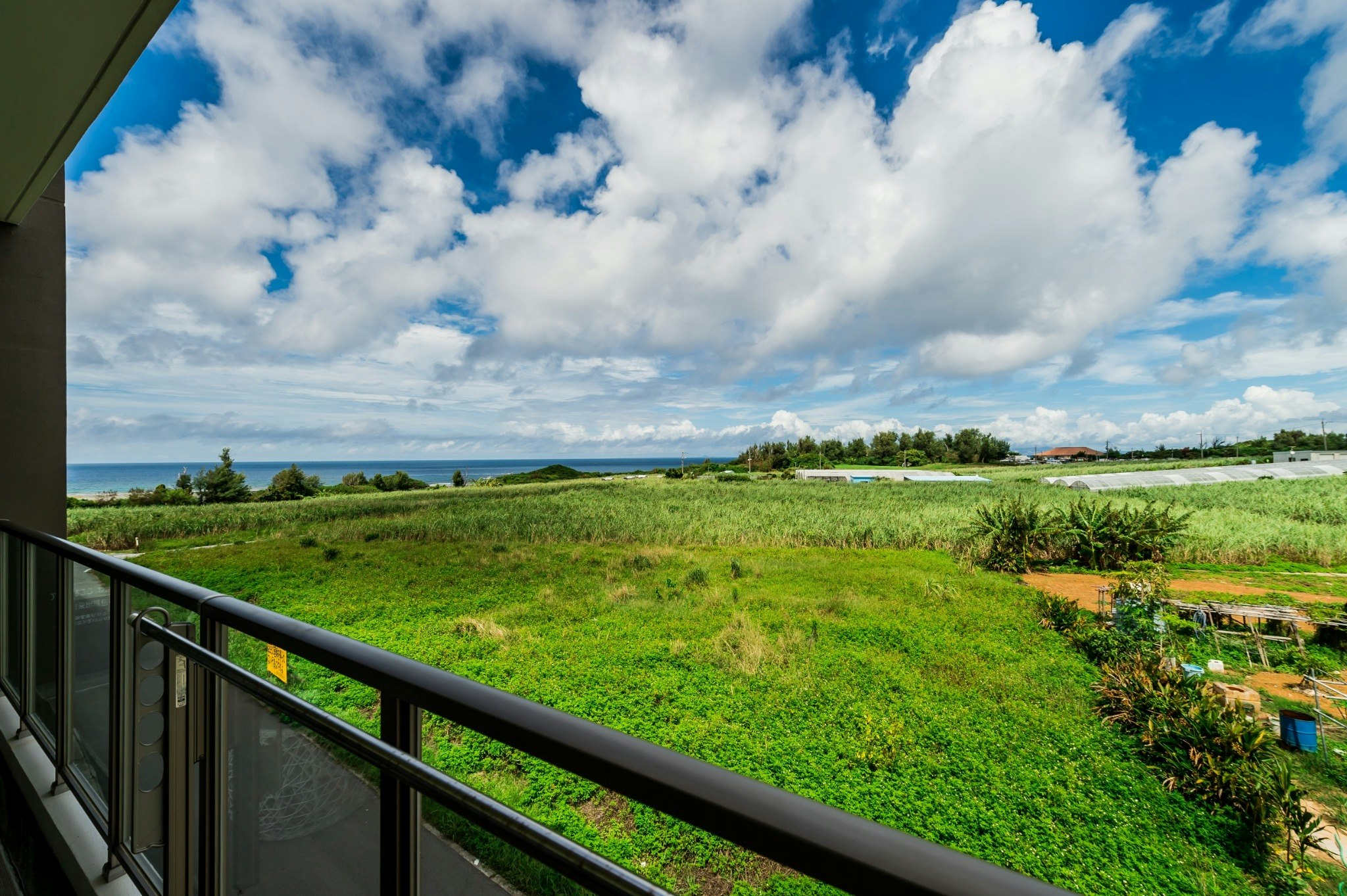 OR211リビング広々!海とウージ畑のコントラスト!