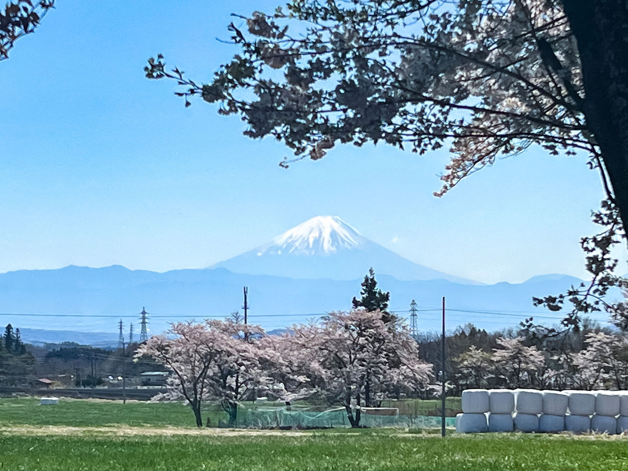 【富士山】のどかな景色の奥には富士山が。日本を旅する嬉しさを感じられる風景をお楽しみください