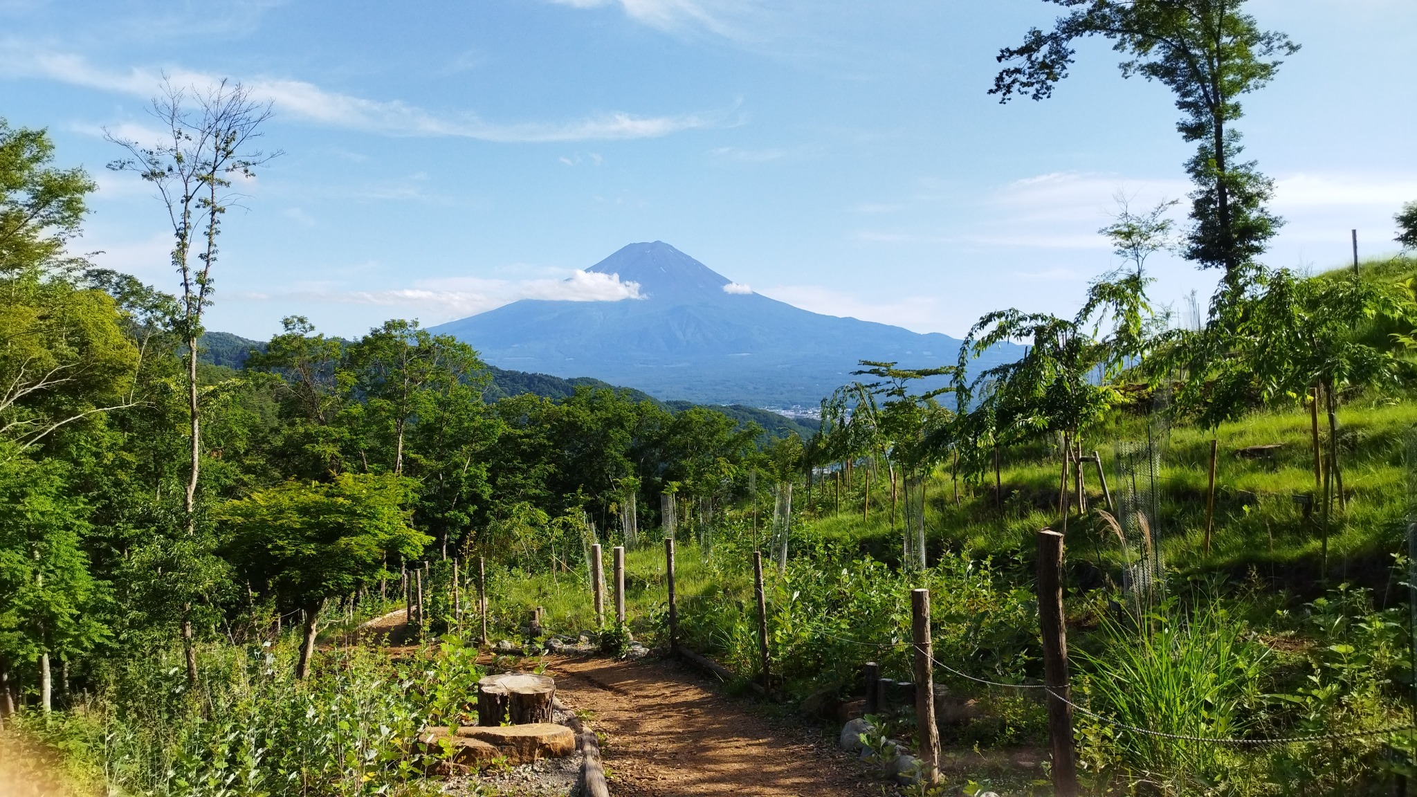 素泊まり ★富士山を望む部屋★ + 「富士山信仰の 神聖なる滝へ行く!」自然ハイキングツアー付き