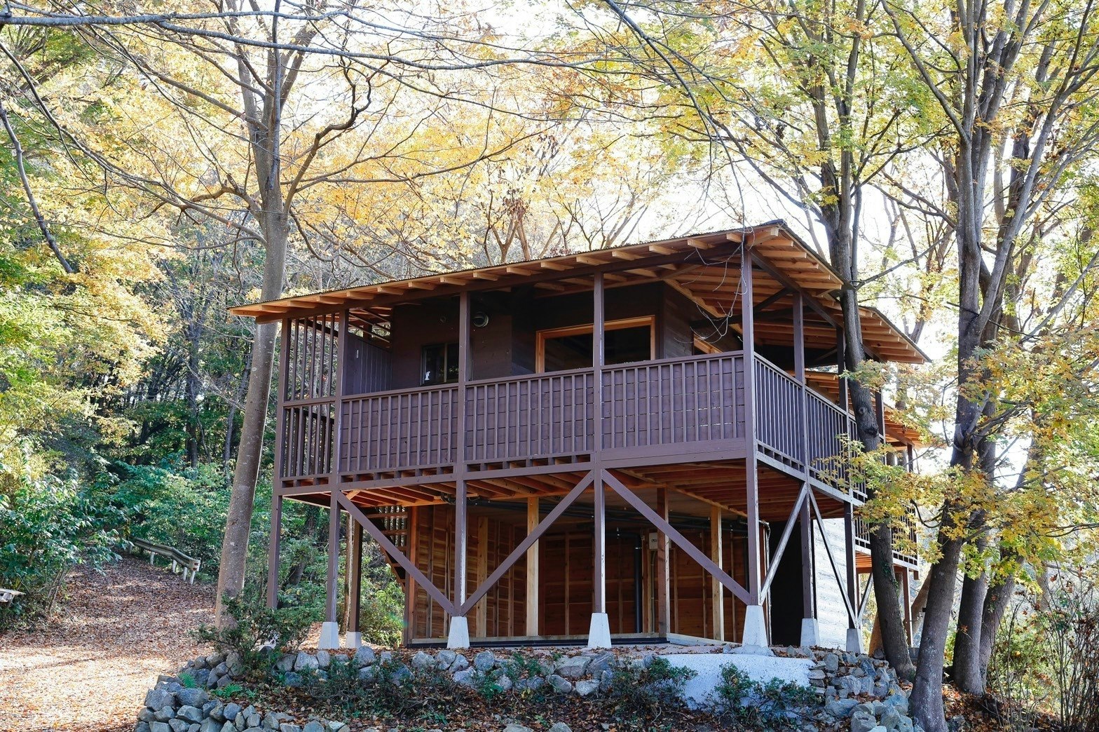 部屋から雲海の見えるツリーハウスのようなコテージ