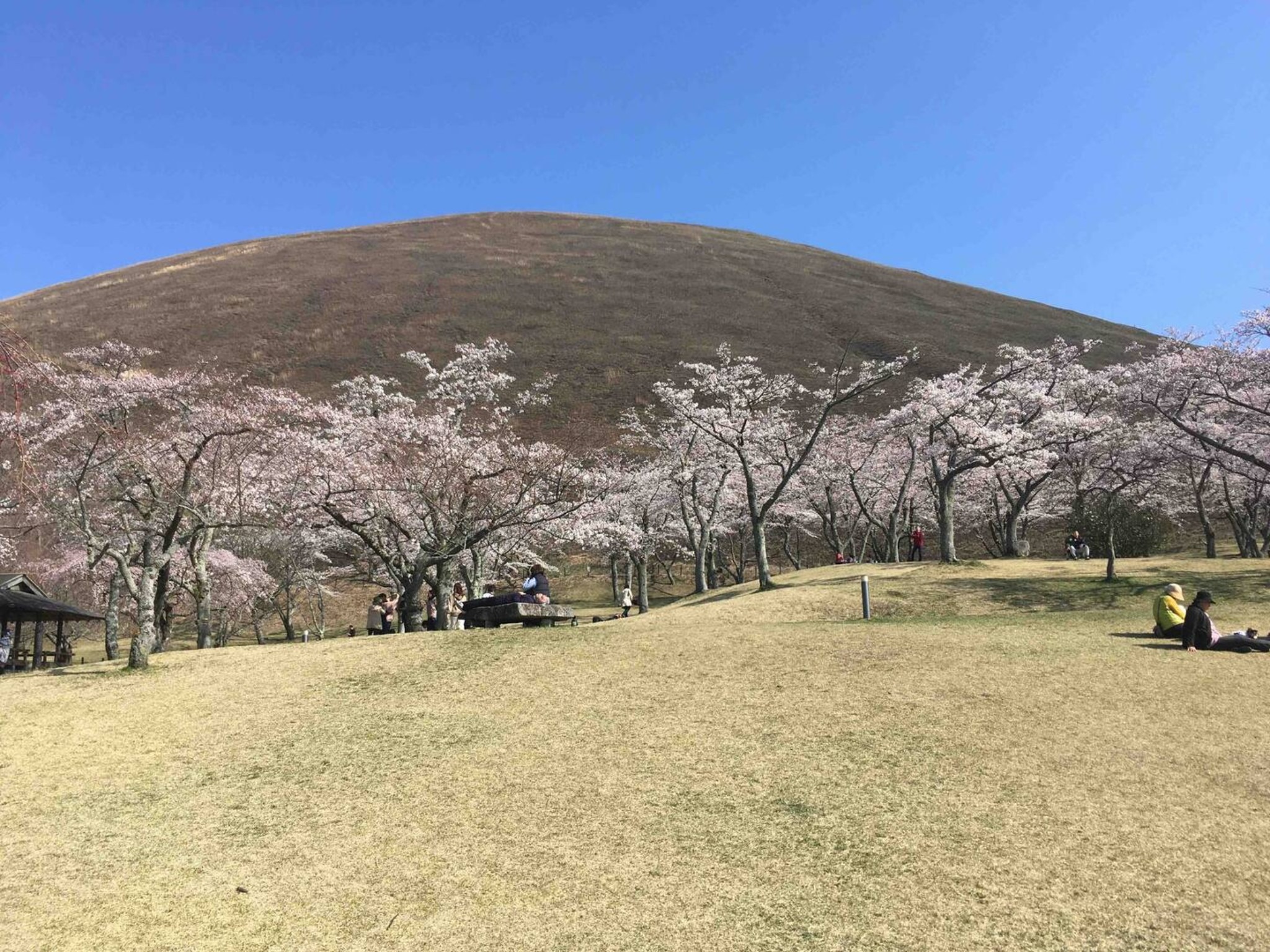 大室山の麓に佇むMasaya Villa (Shimoda 203)