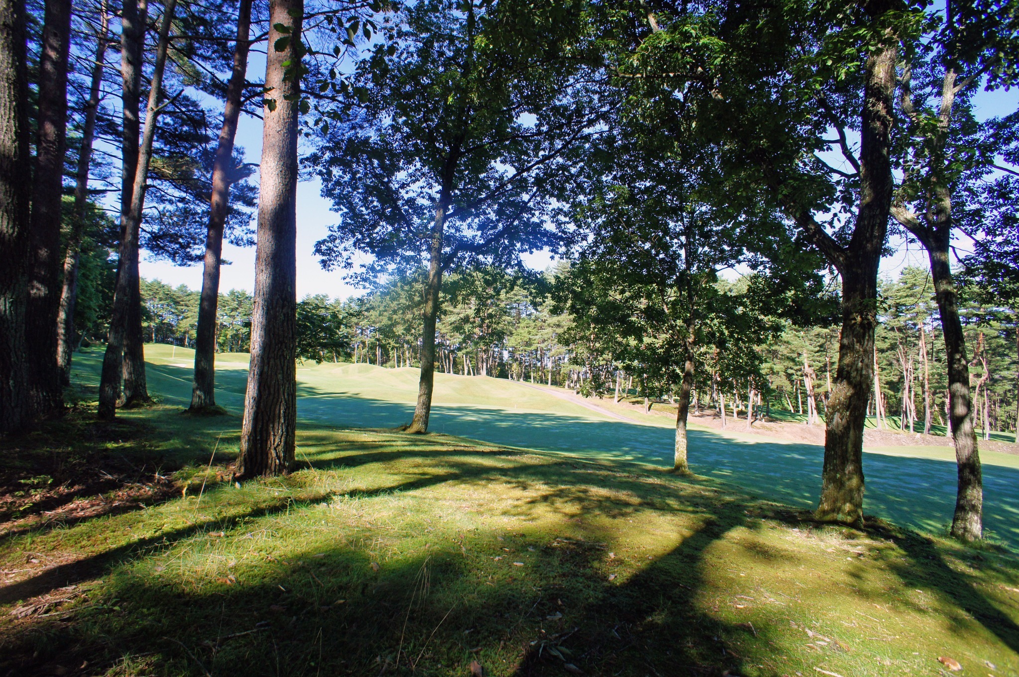 HARUNA WING ゴルフコースを一望する森の中のプライベートコテージ