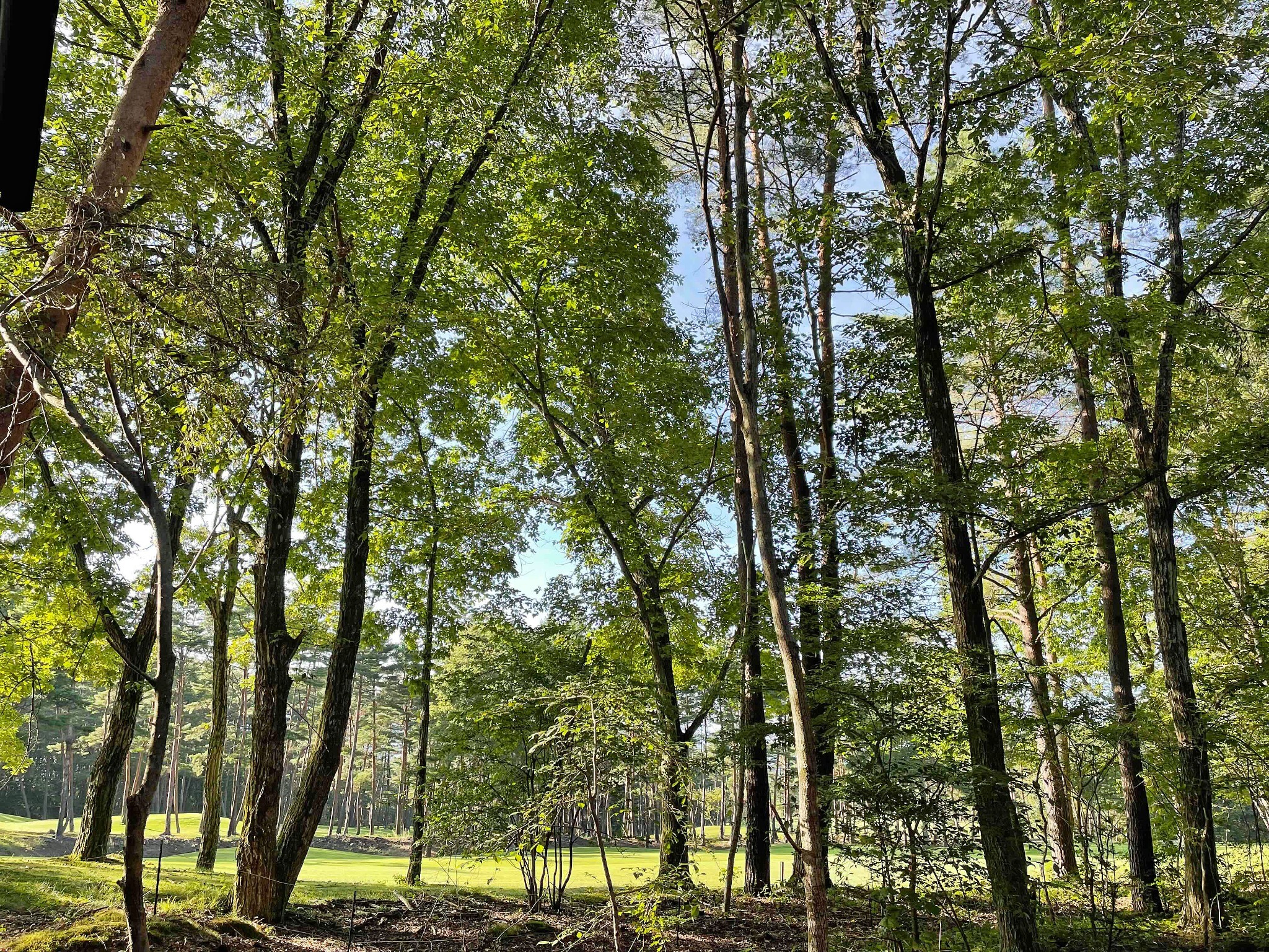 HARUNA WING ゴルフコースを一望する森の中のプライベートコテージ