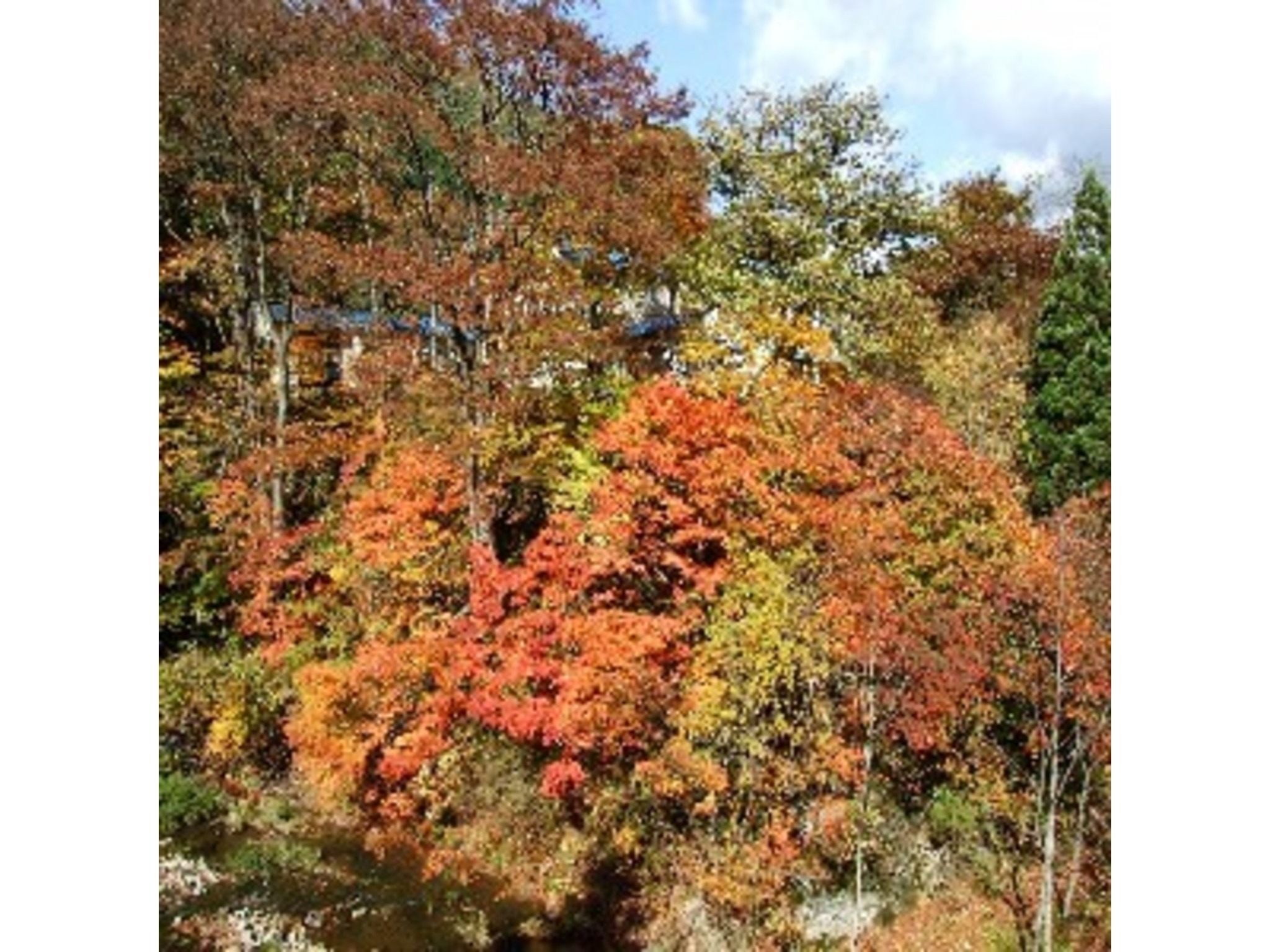 鶯宿温泉 ホテル鶯 のnull