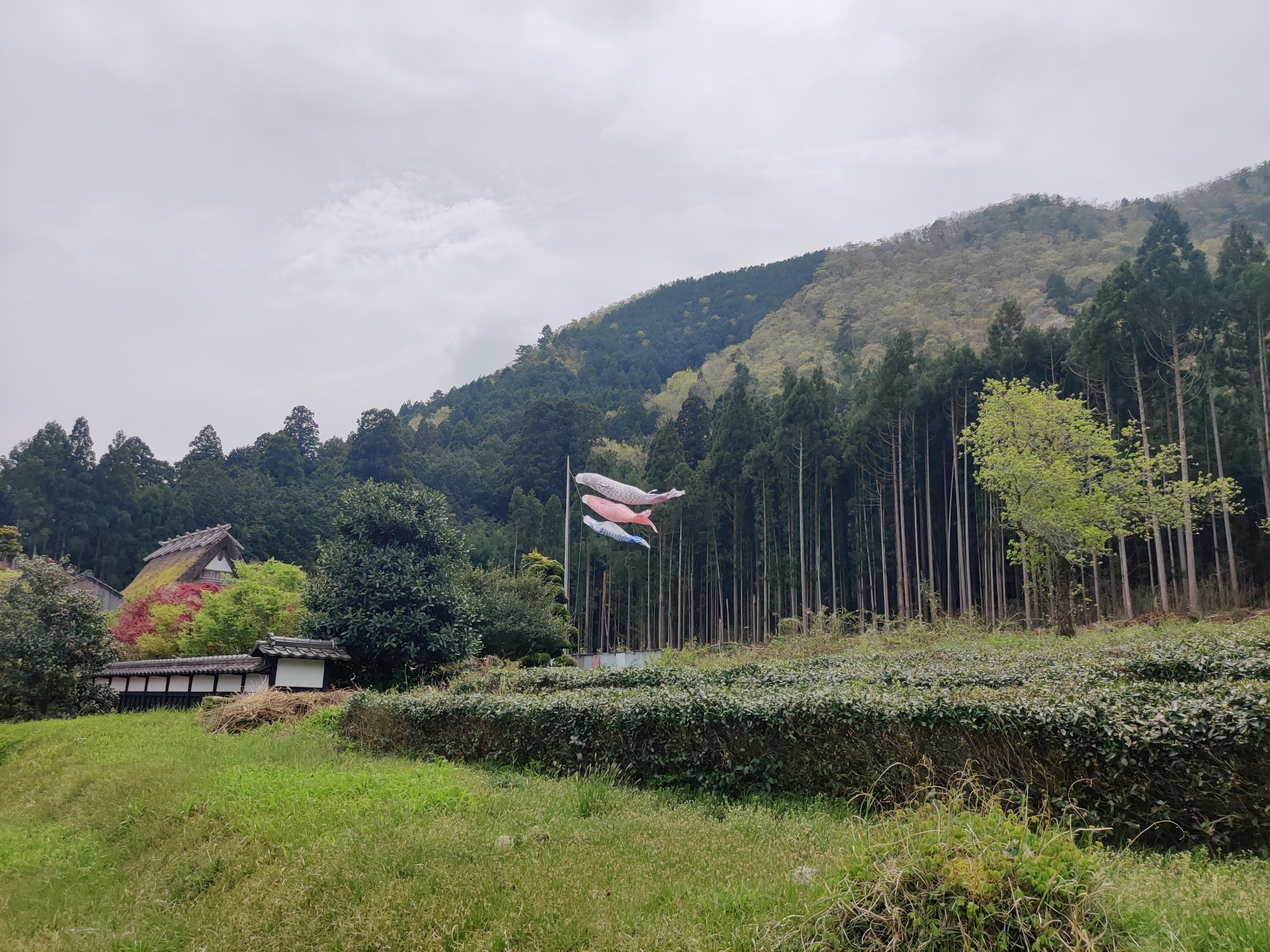 美山町豊かな自然に囲まれた一棟貸し古民家