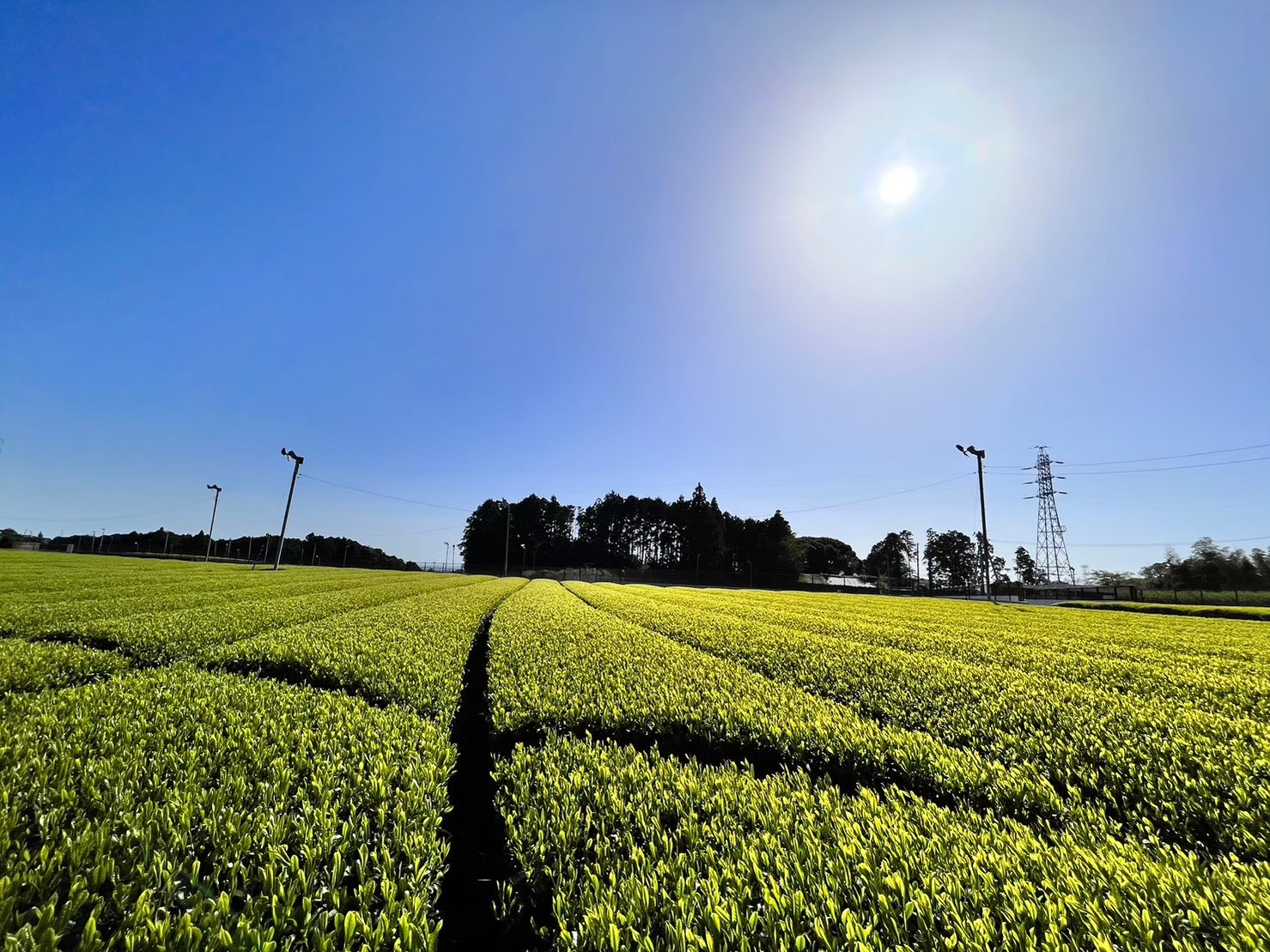 2名でゆったり贅沢空間プラン(広々和室:計24畳)