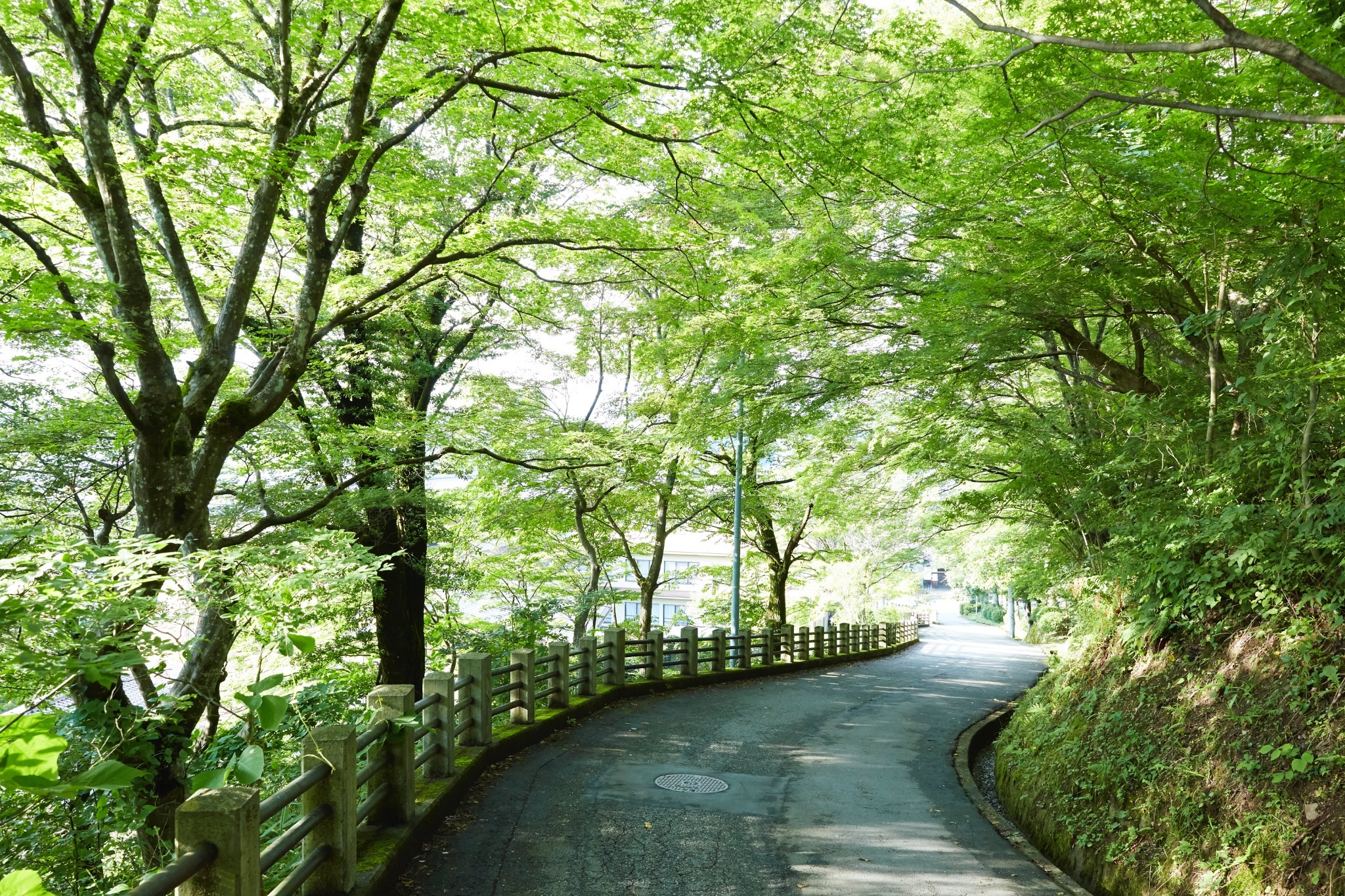 <1日1組限定>築100年の古民家。無垢のフローリングと漆喰の壁、静かな坂の上の宿 のnull