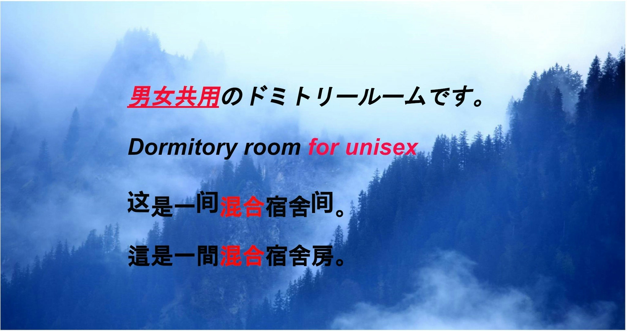 3階【ドミトリータイプ】男女共用ルーム/最大5名様まで宿泊可能(ベッド1名分)