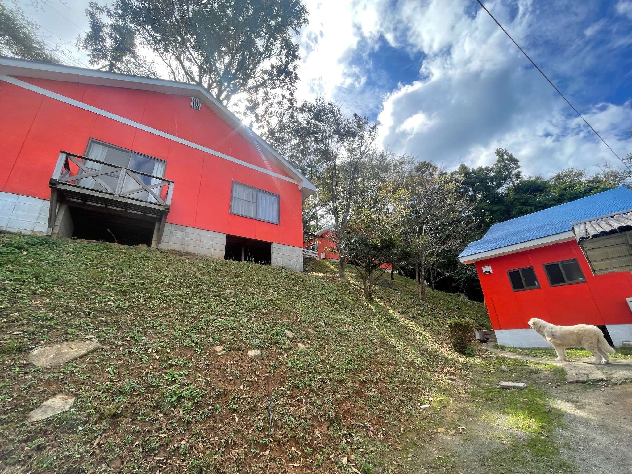 マリンビューしまね のnull