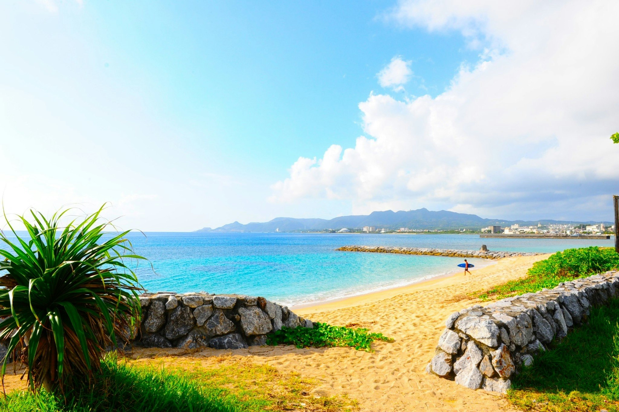 303号室☆organic room☆