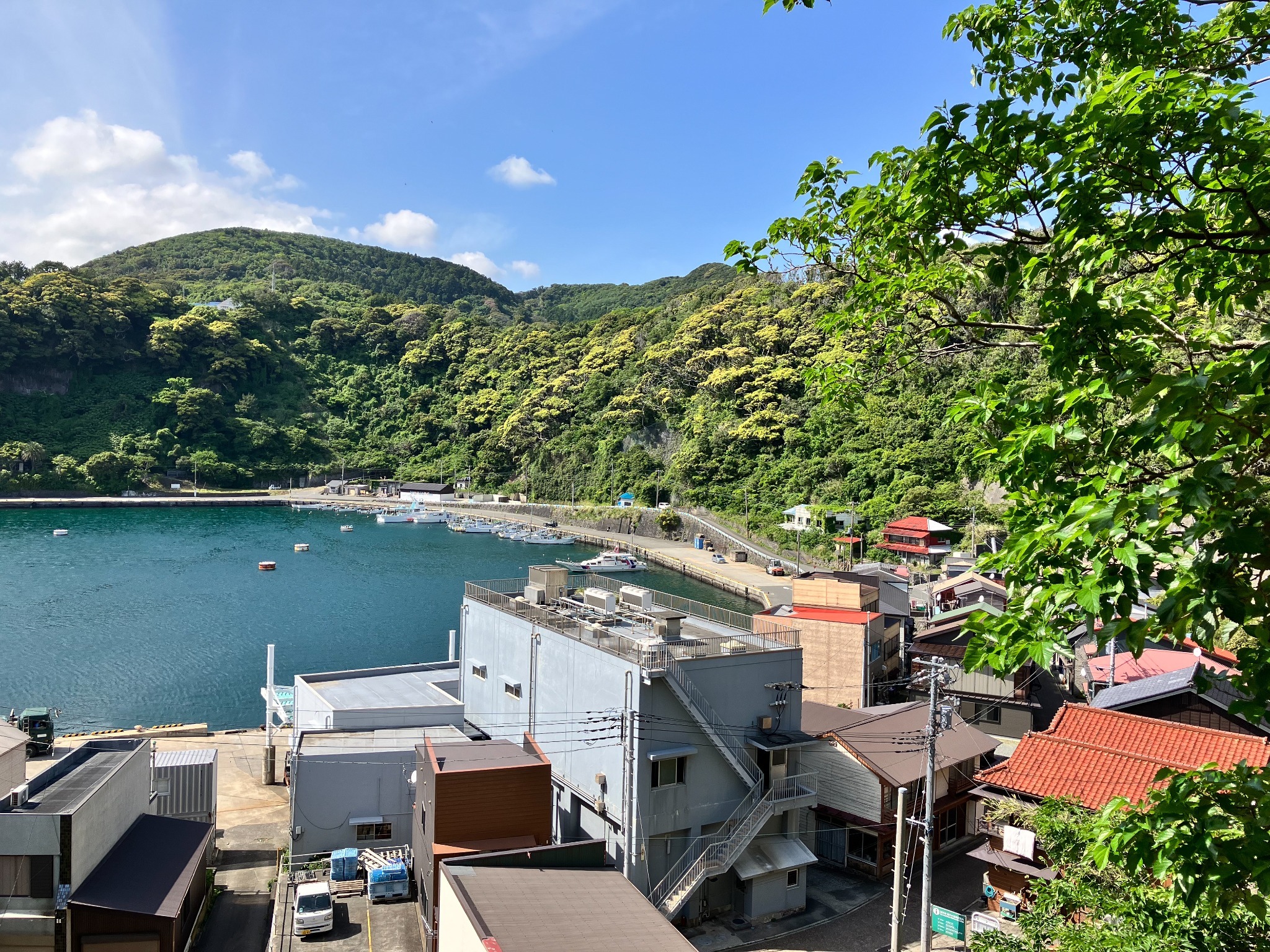 昔ながらの和室のお部屋。外の景色は波浮の街並みが楽しめます。