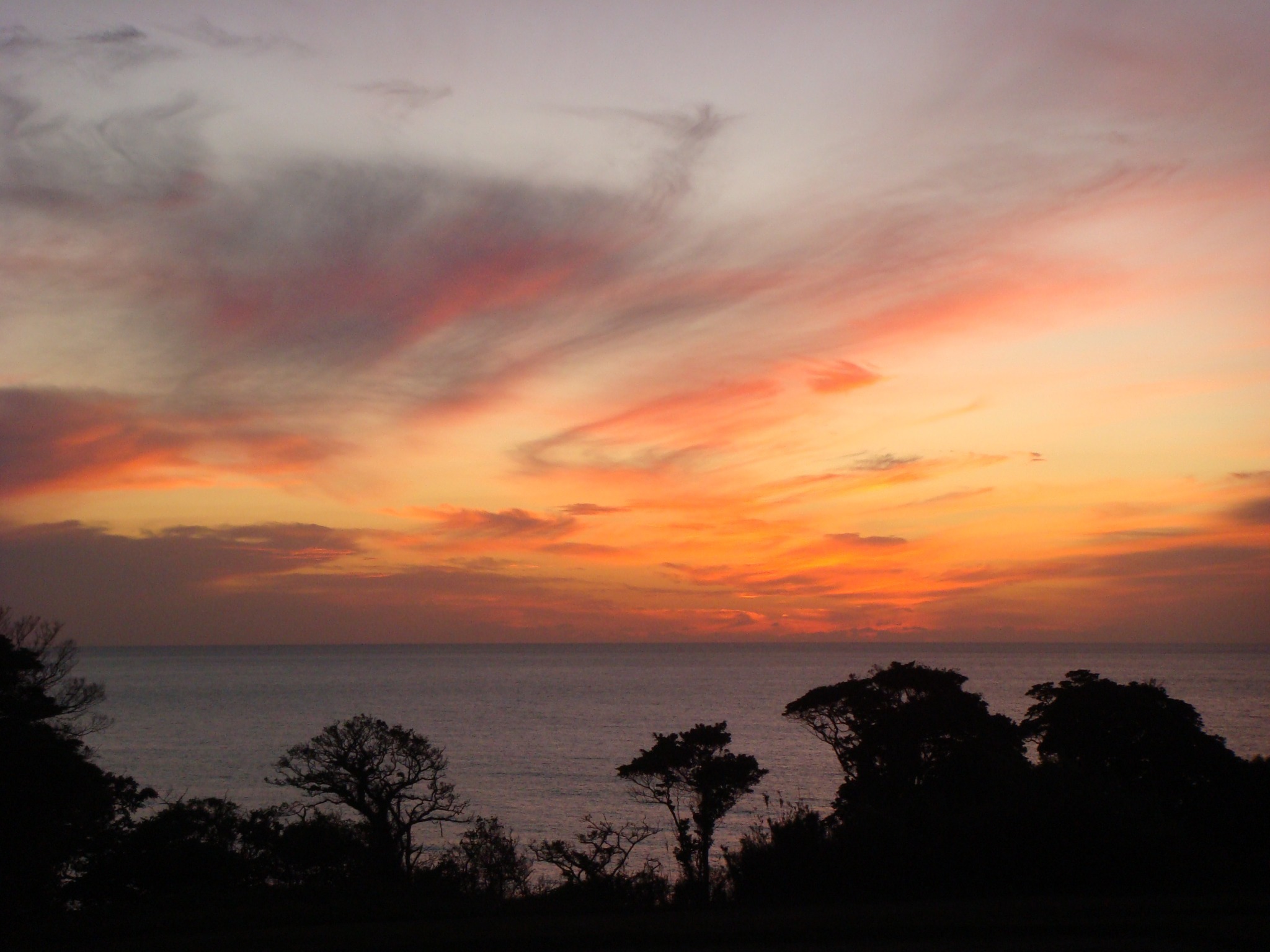 自然心遊 ゲストルーム  1日1組限定