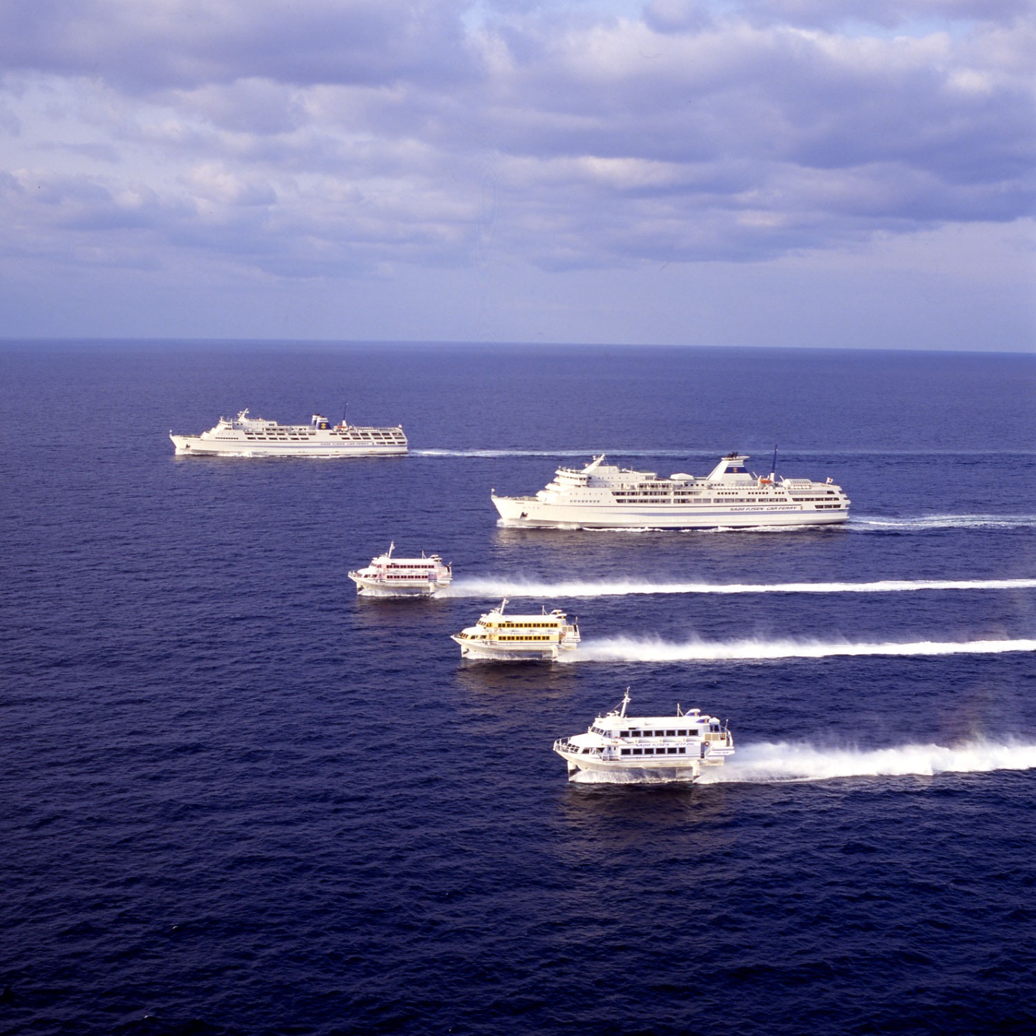 自然心遊II 20畳 和室