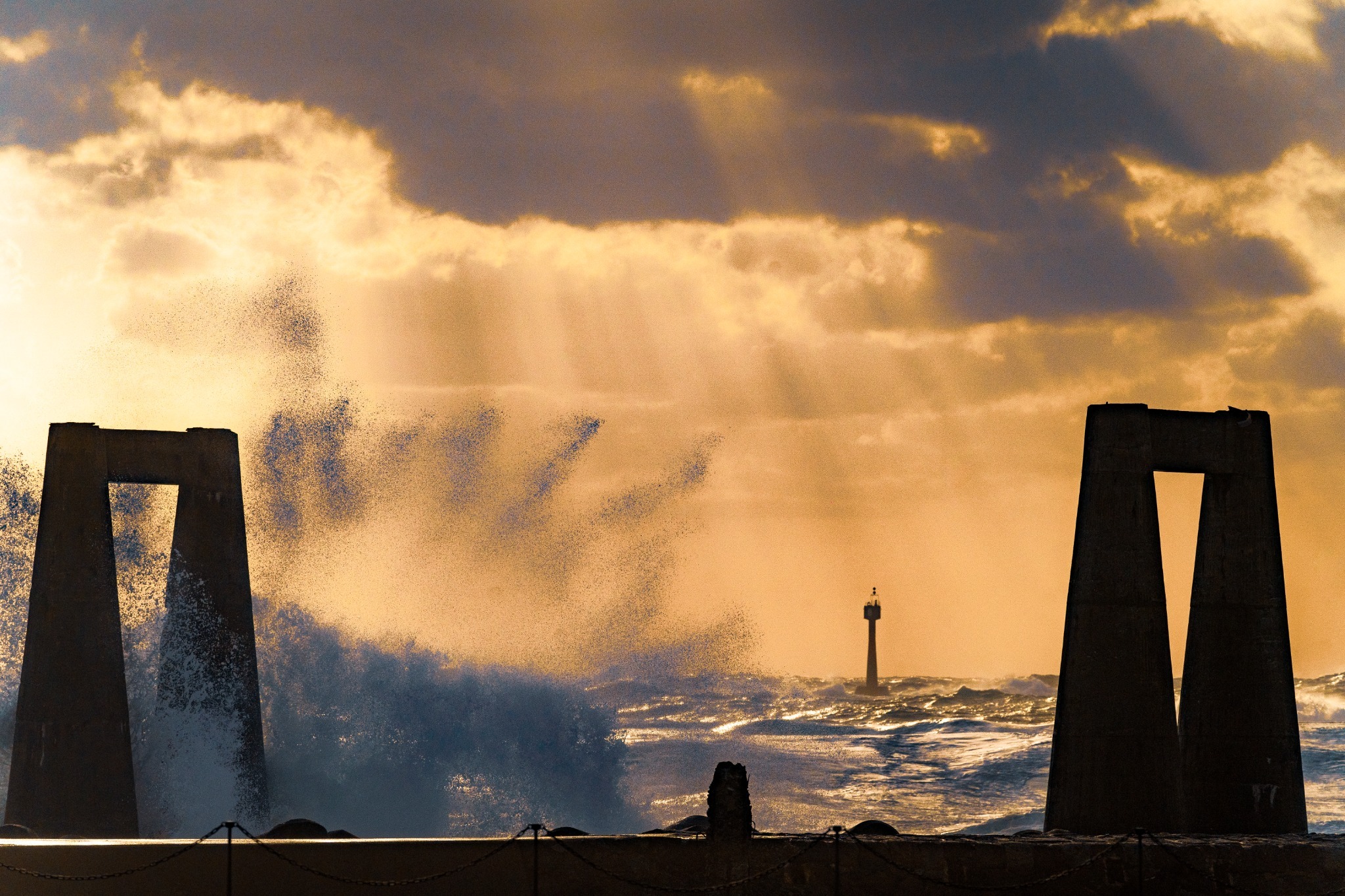 自然心遊II 10畳   和室