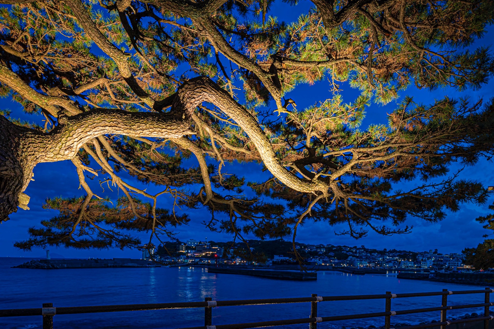 mukaian(一棟貸宿)【1泊2食】一棟貸宿専用・部屋食プラン/塩だし柑橘しゃぶしゃぶ