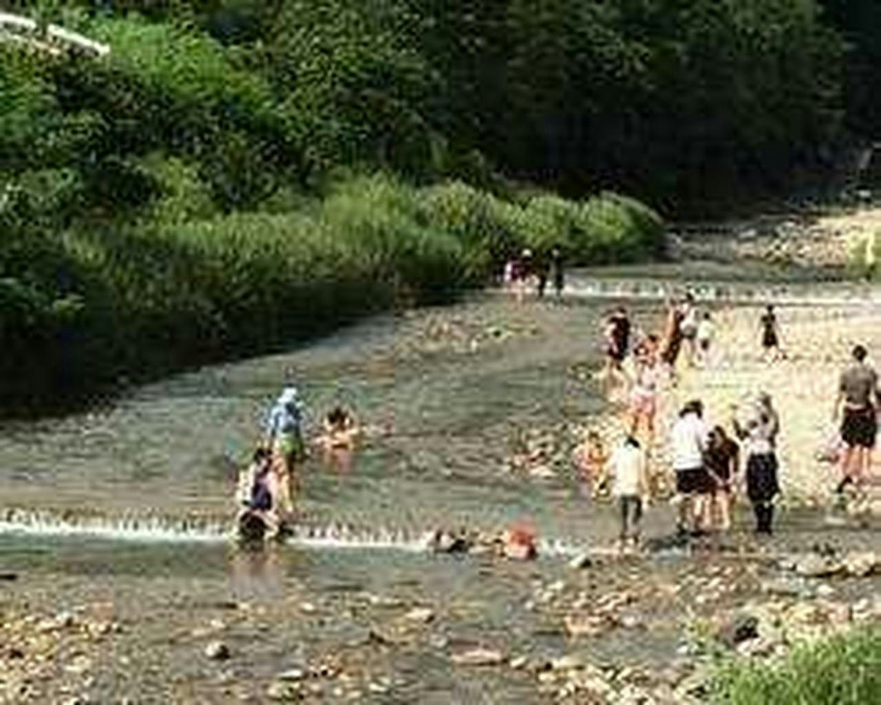 【宿泊】キャビン:Cエリア(定員4名)