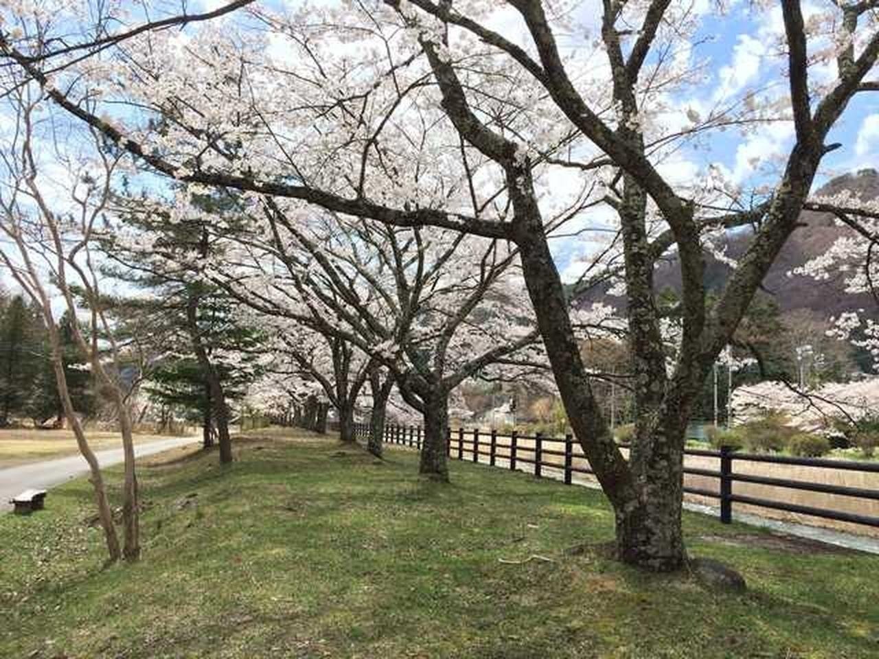 【宿泊】キャビン:Cエリア(定員4名)