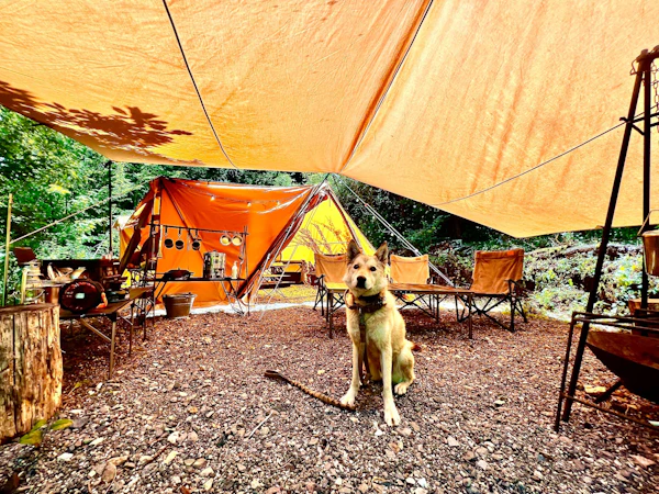 白州・尾白 FLORA Campsite in the Natural Garden - ☆ペットもOK