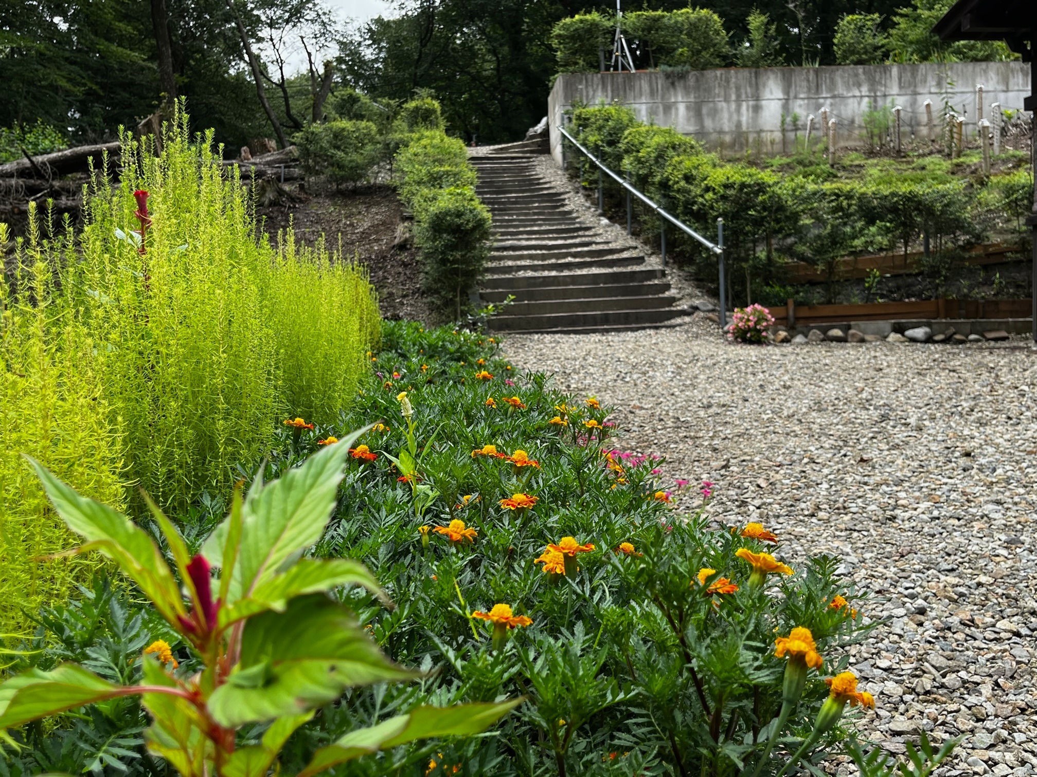 那須レンタルコテージ山梨子山荘 のnull