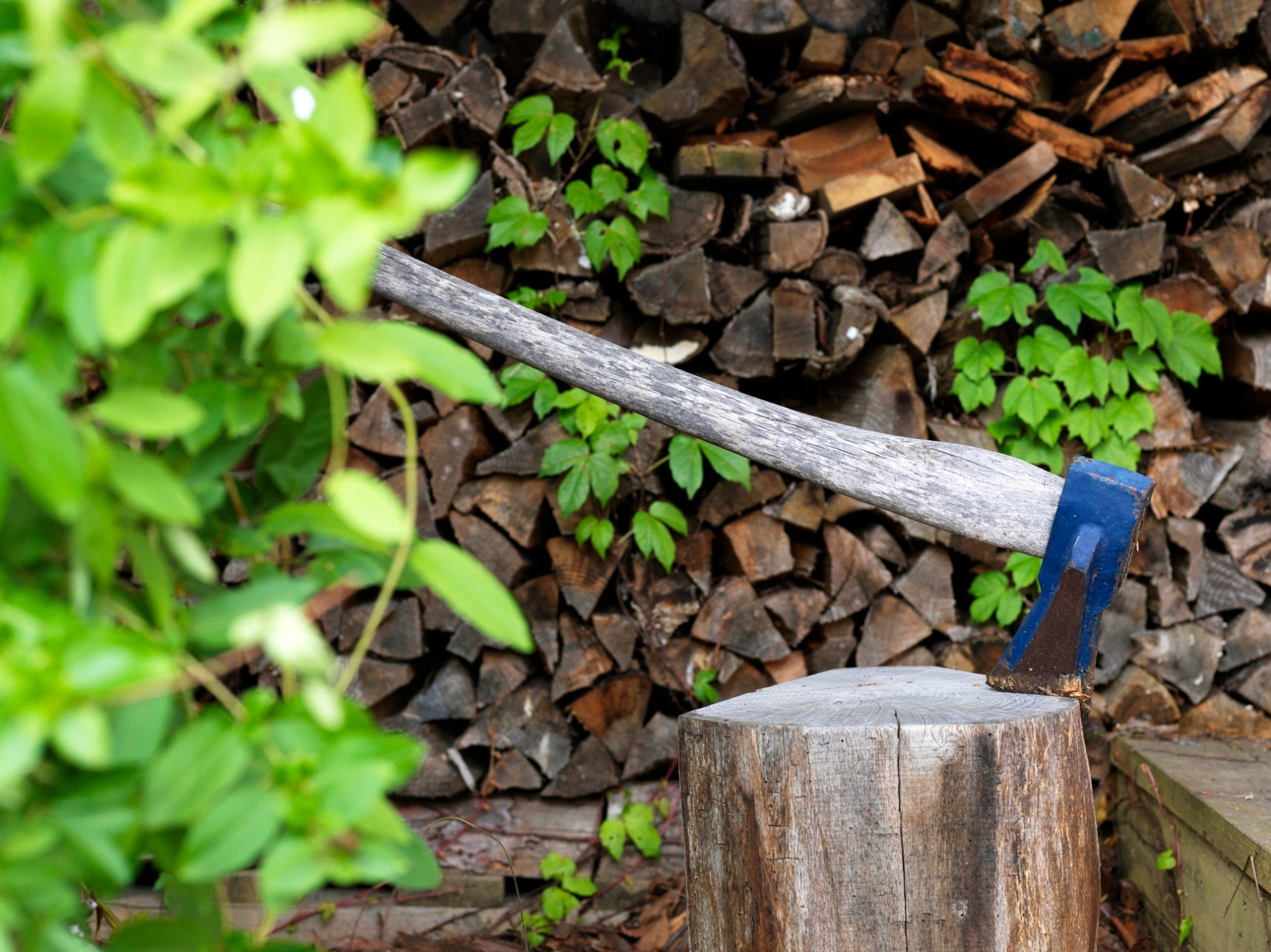 Renewal Open! 【urban&rsquo;s camp fuji】ハンモック付きのウッドデッキ! のnull