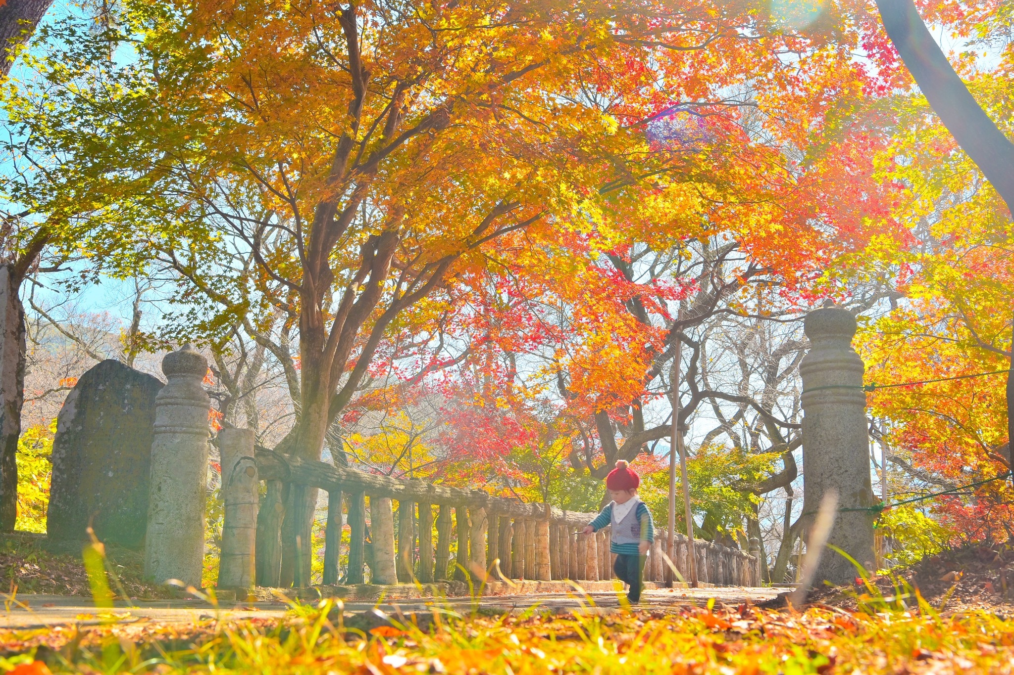 Village IRORI のnull