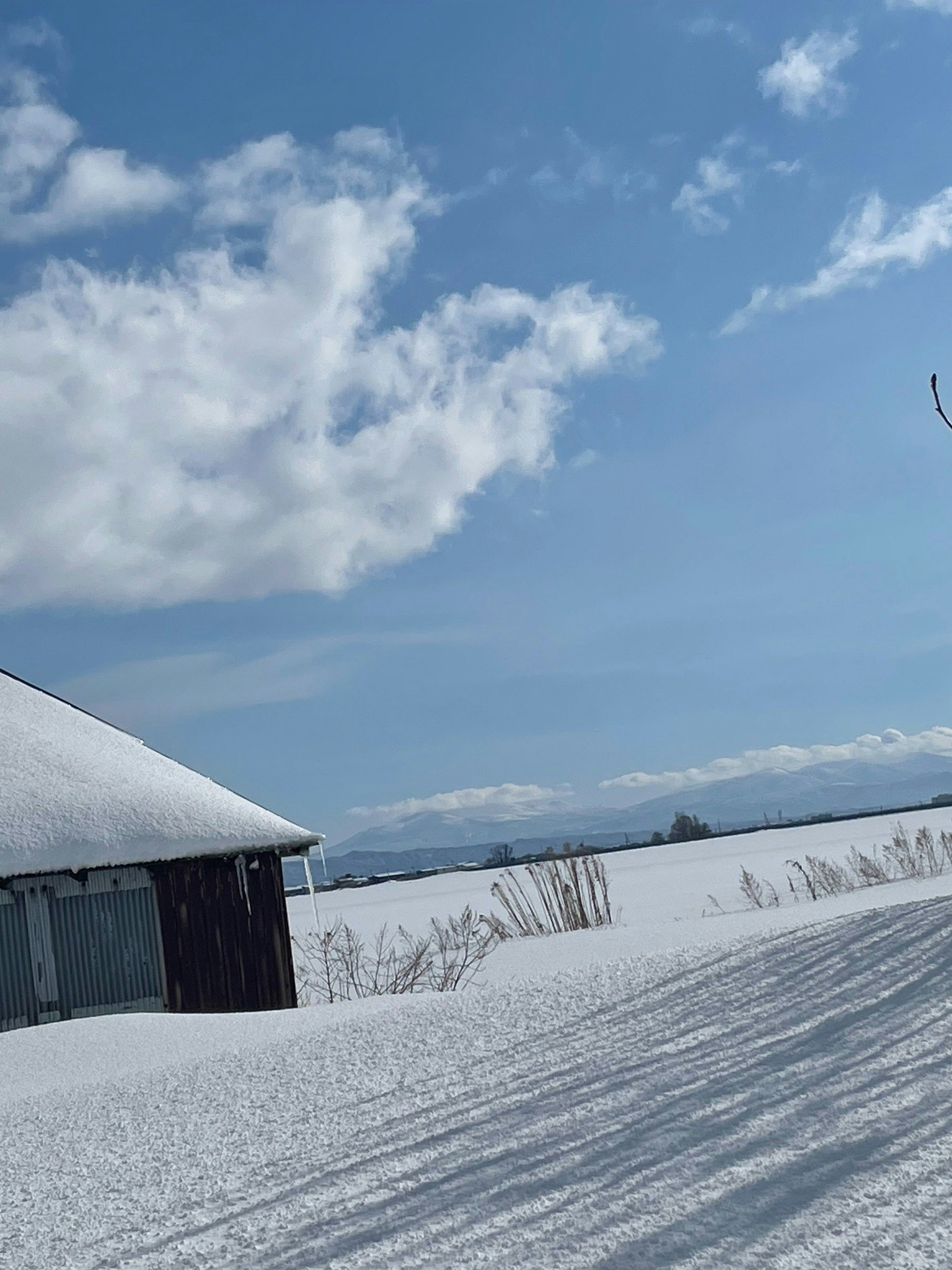 【2〜3月限定|一日一組・お一人様から貸切】 春を待つ雪原で、心に残る朝ごはん旅|温泉券・朝食付き