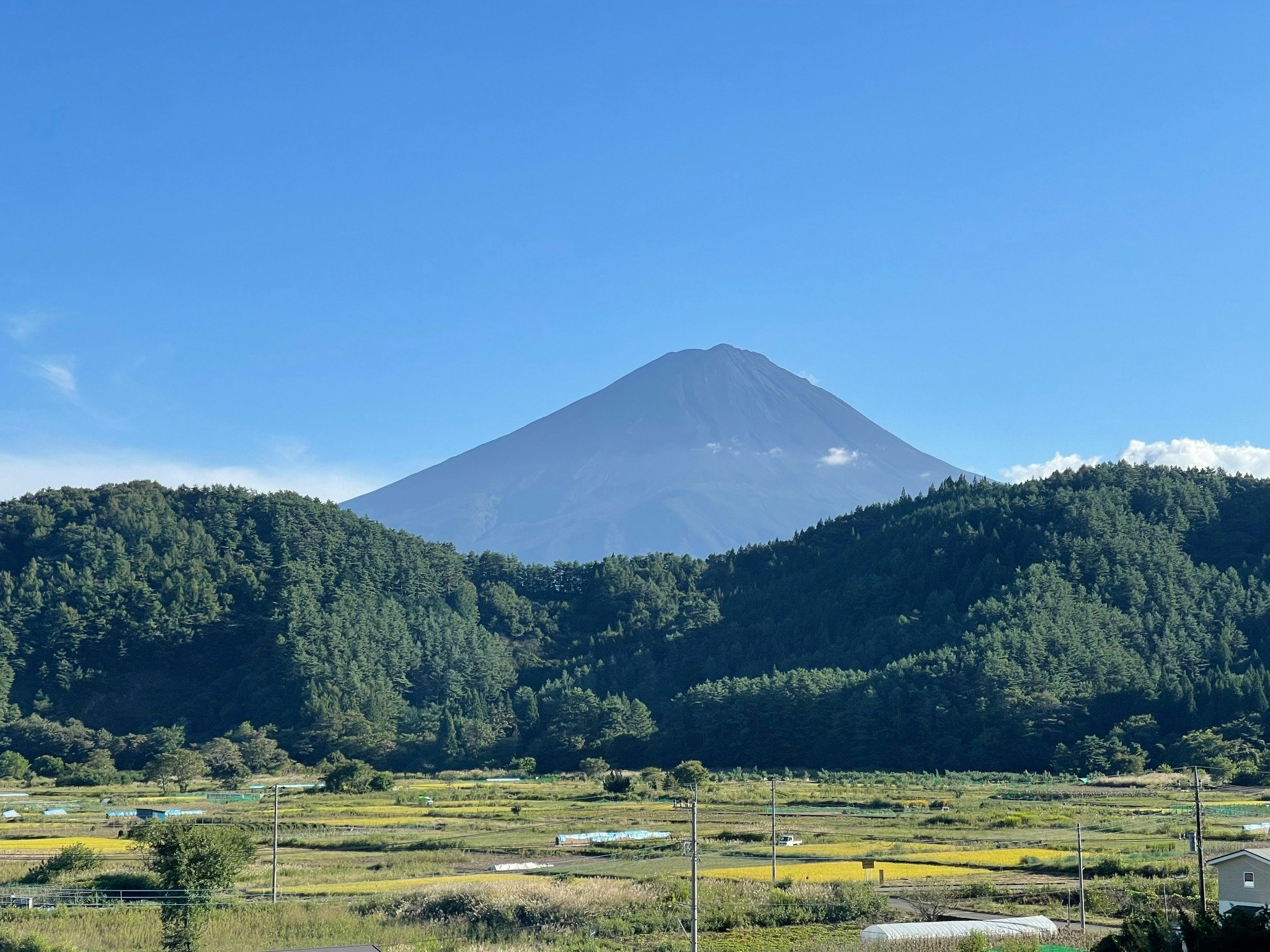 【Mermaid annex】最大13名可!壮大な富士山の景色を楽しむ、高級貸別荘!