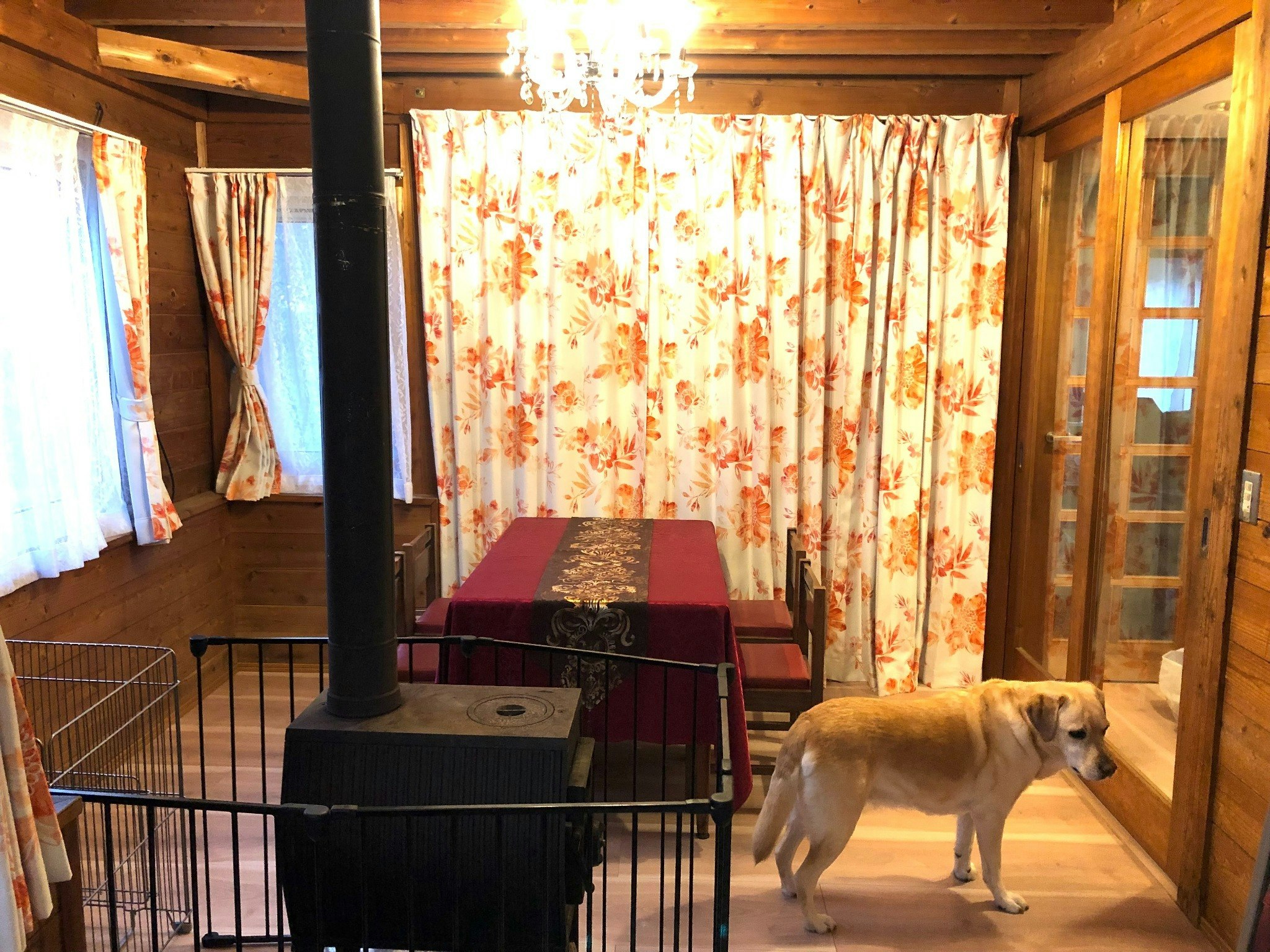 ワンちゃんとゆっくり過ごす、森のお部屋