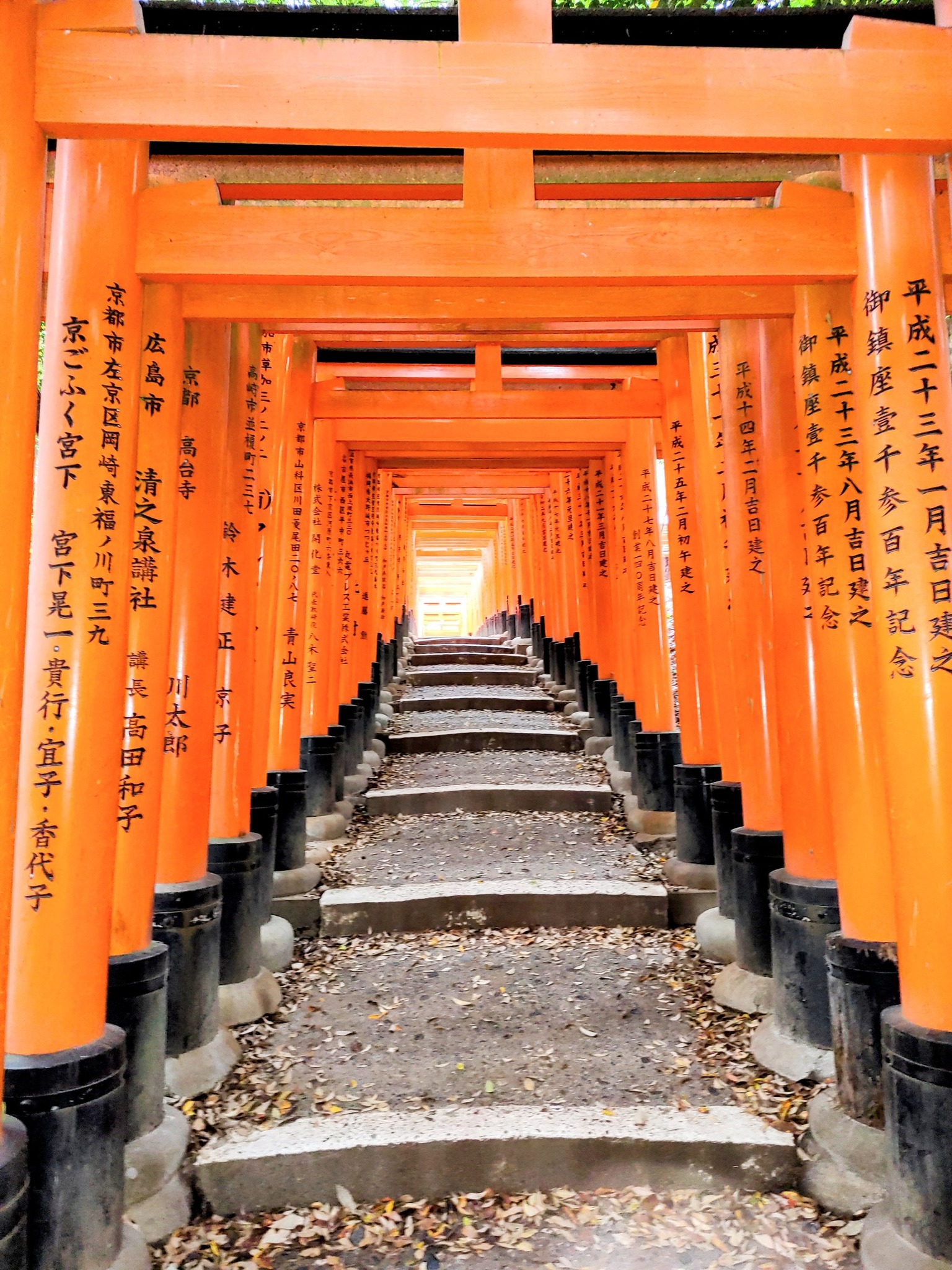 千本鳥居迄徒歩20分位で行けます。