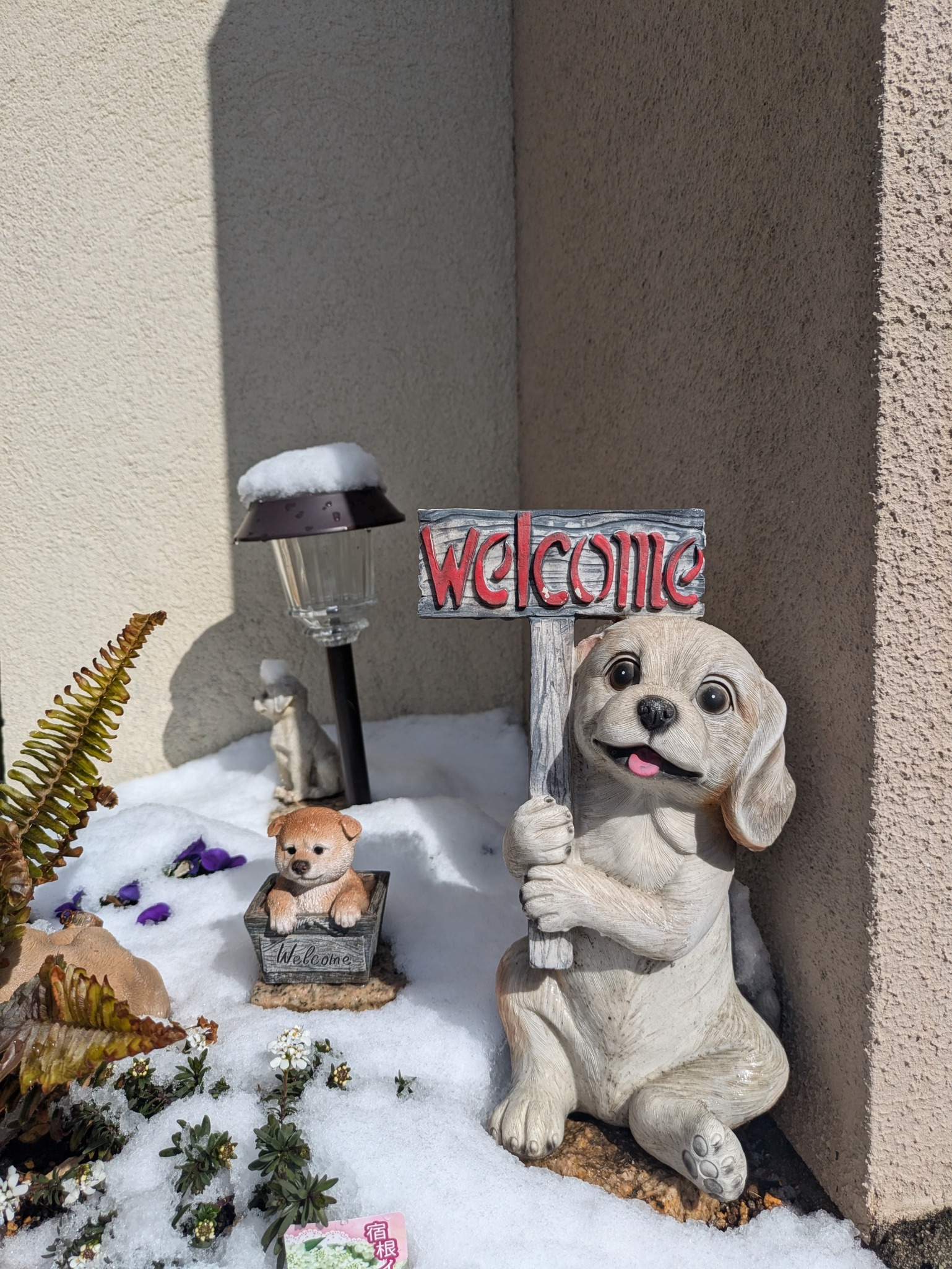 ペット宿泊料金は別途発生致しませんのでご安心下さいませ。