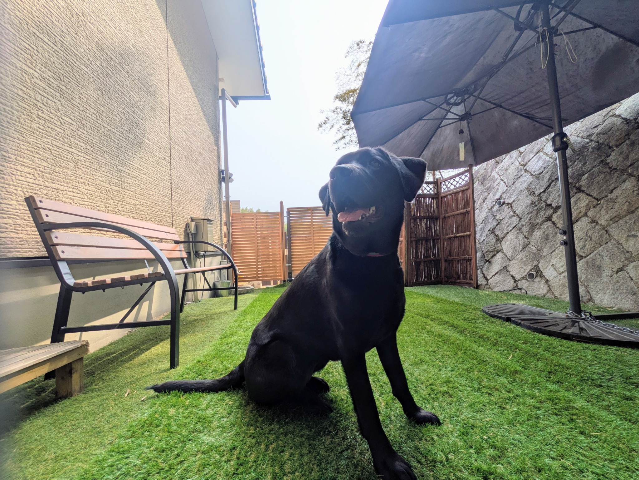 民泊 稲荷山 ドッグフレンドリー&nbsp;施設全景