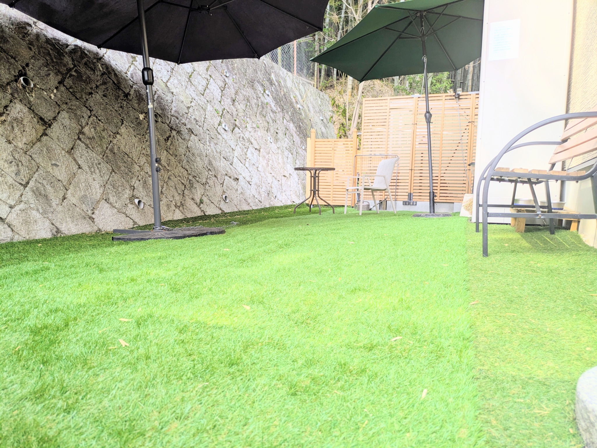 ドッグラン ご自由にご使用ください。