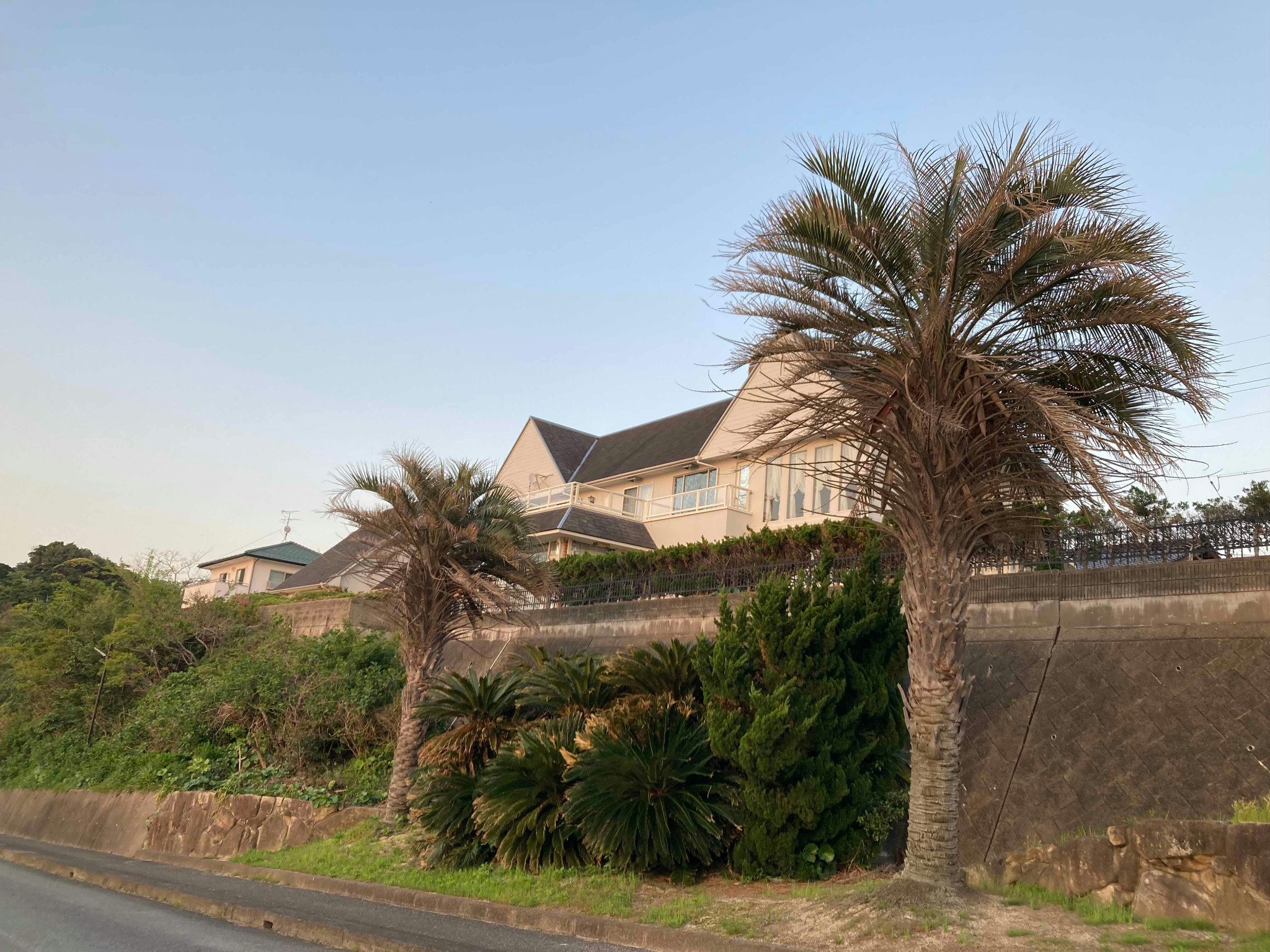 絶景のオーシャンフロント、夕日が目の前、アメニティ充実で長期滞在可能なスイートルーム