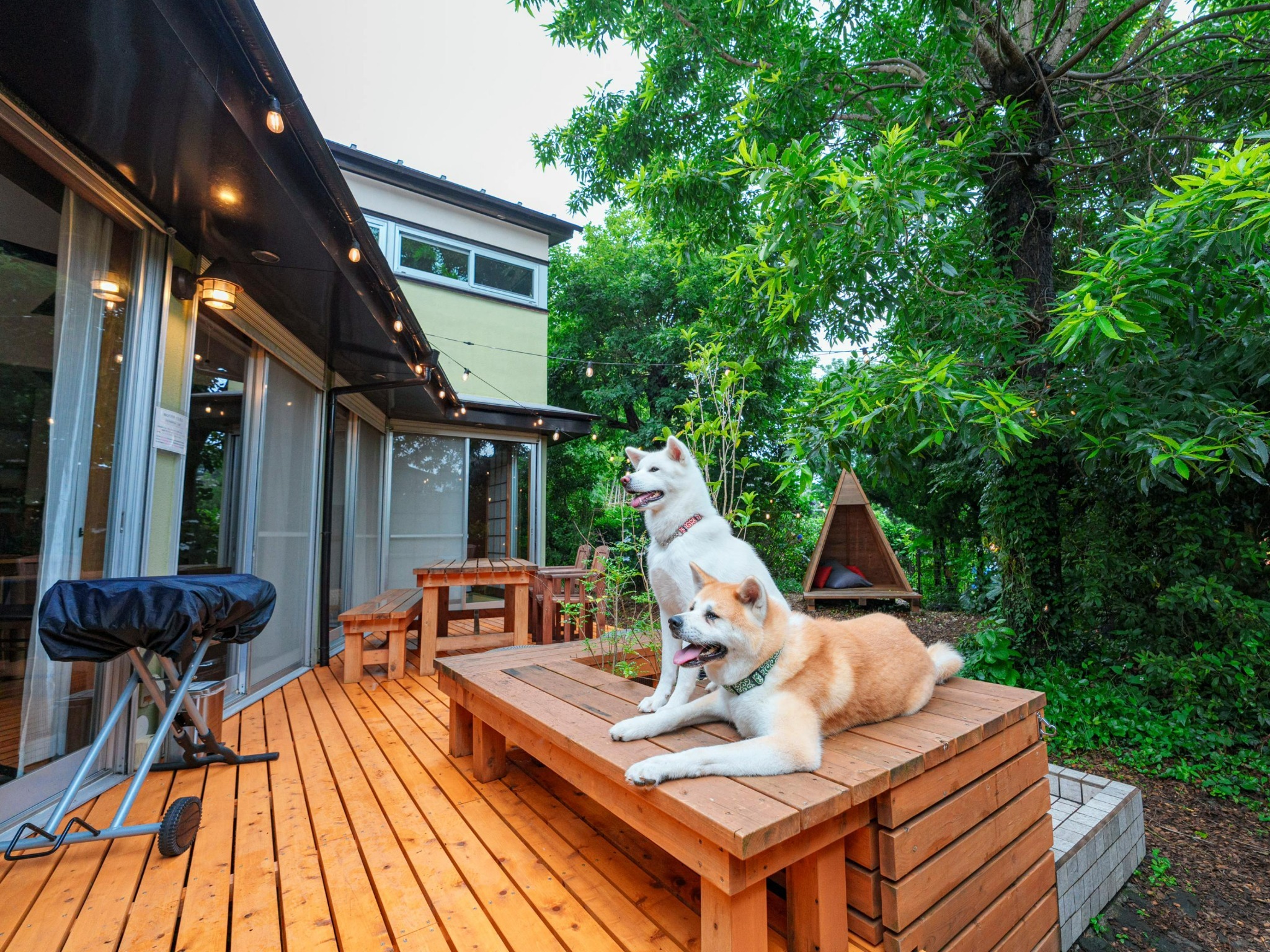 PINE CONE BASE - 【禁煙】愛犬と泊まれるデザイナーズハウス（7名様