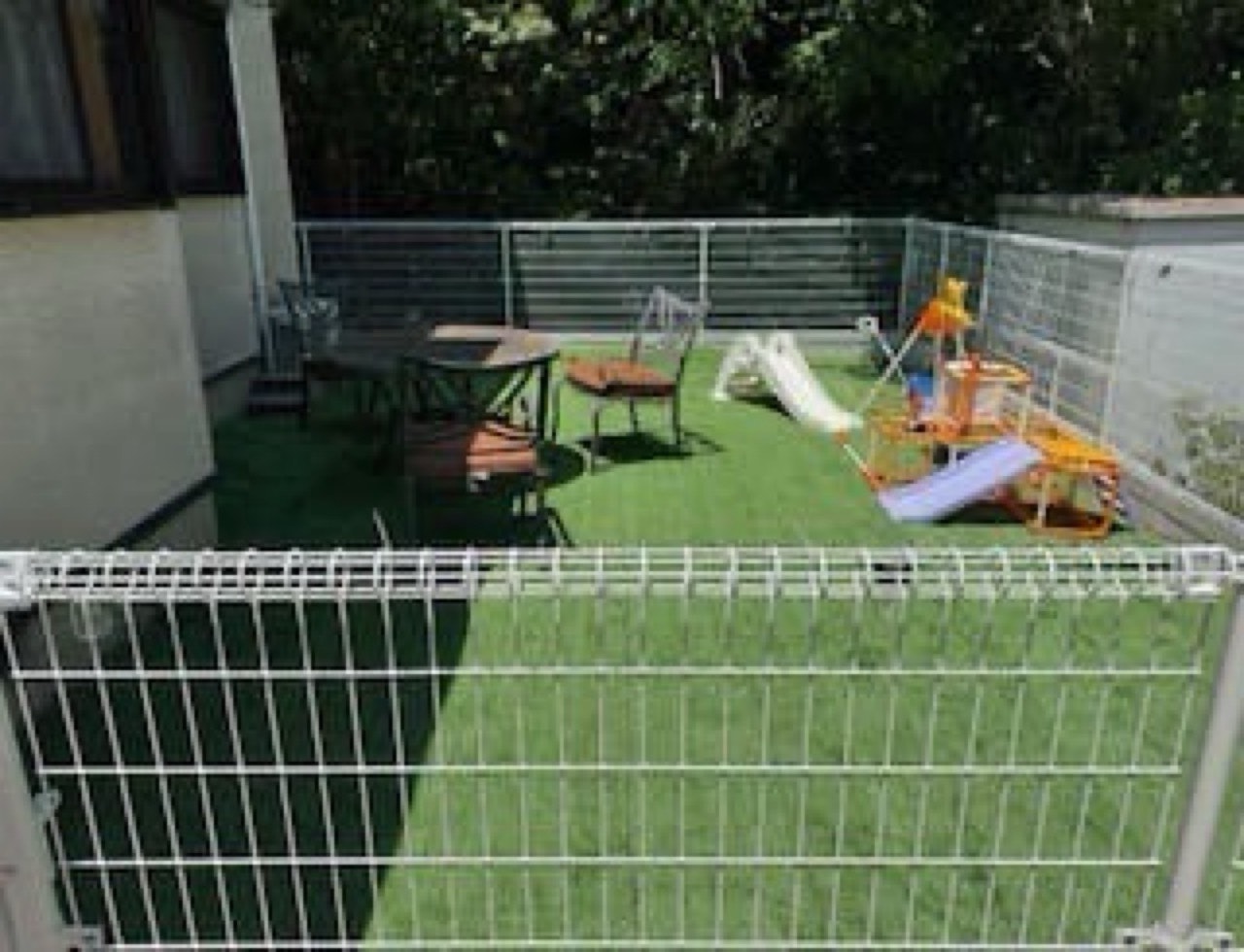 dog baseエンジェル