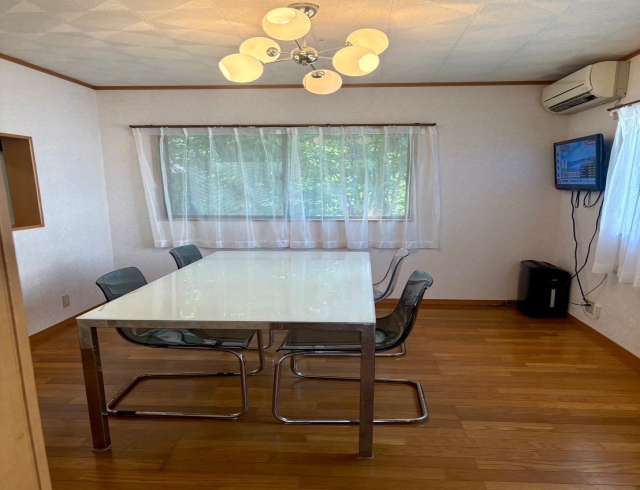 dog baseエンジェル