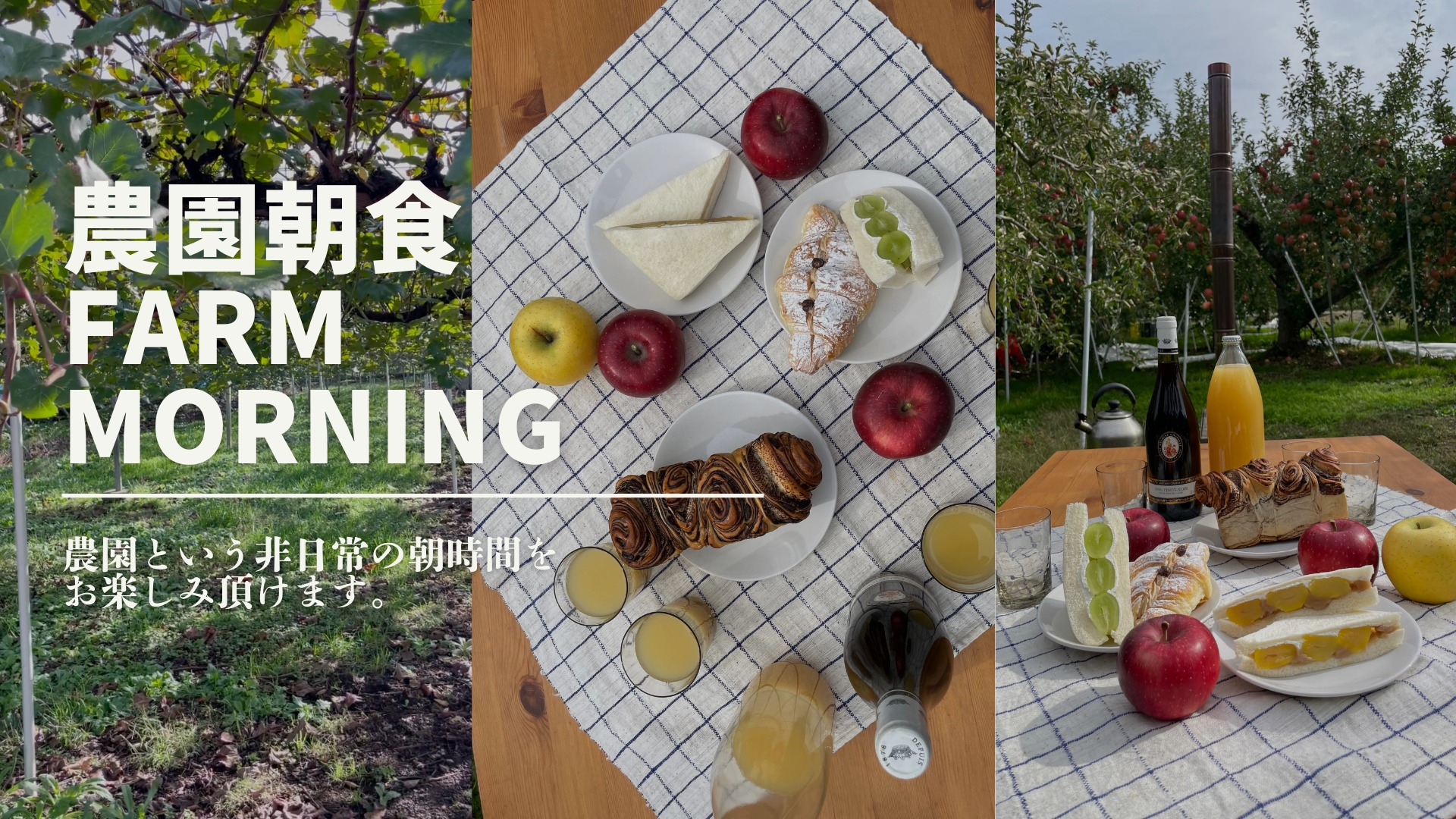 長野の自然あふれる果樹園に囲まれた、歴史ある蔵の宿