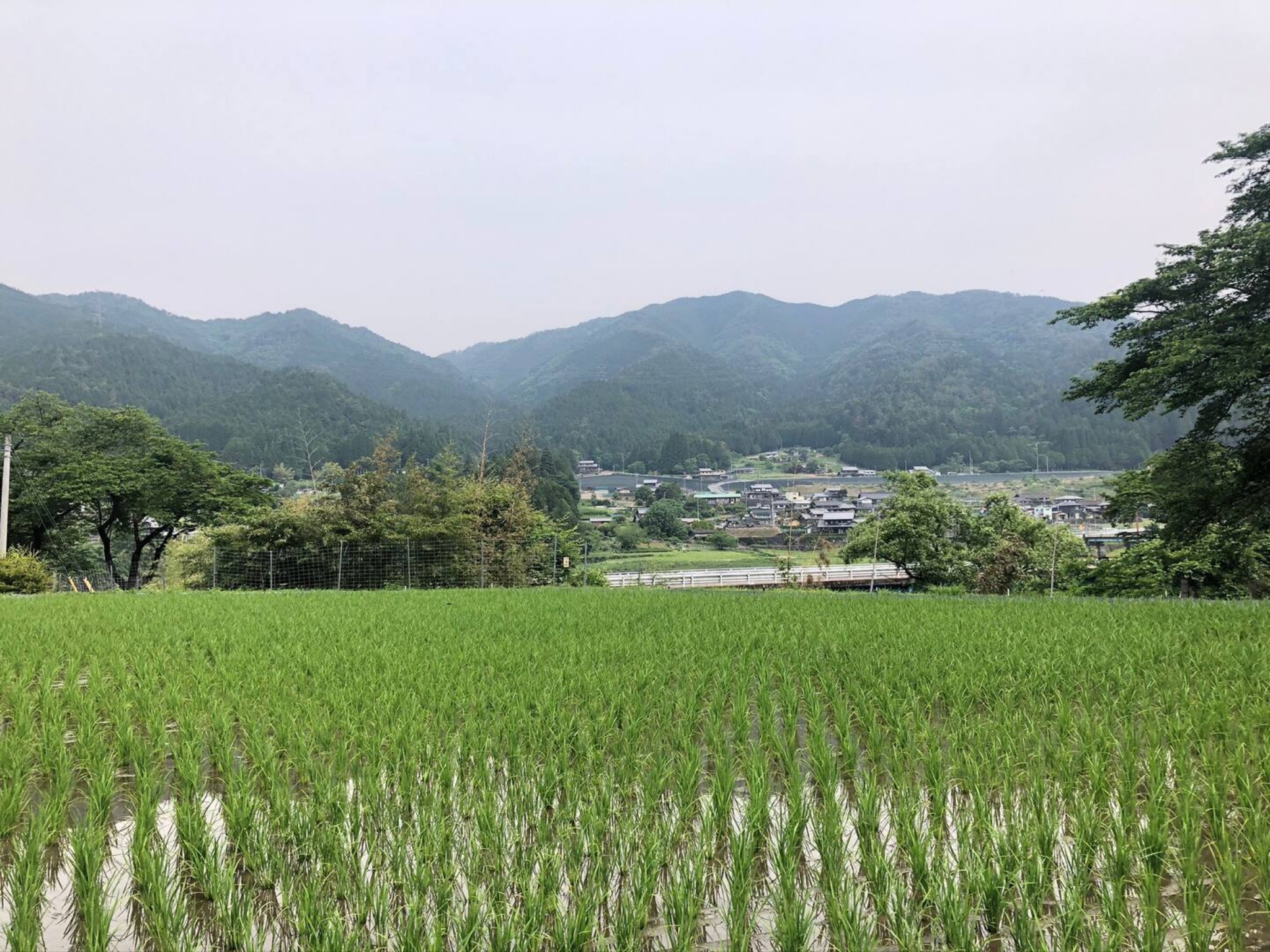 【禁煙】花緑里-HANAMIDORI-乙原のやど岐阜郡上下呂温泉飛騨金山貸切民宿花緑水星湖畔リゾート