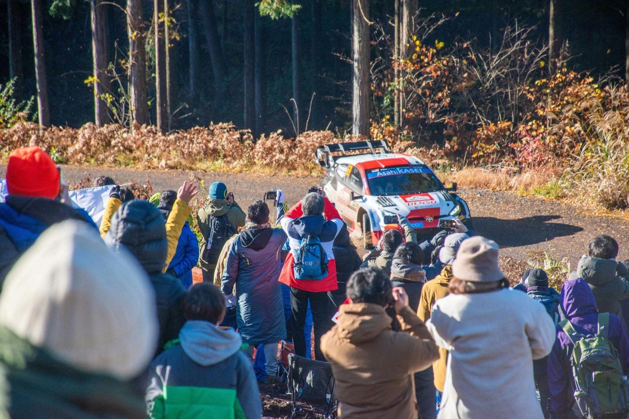 WRCラリージャパン2024 観戦2名分チケット付 宿泊プラン[バンガロー]早朝弁当付 早い者勝ち!